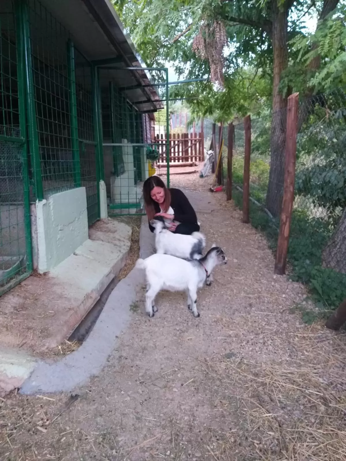 Animals in B&B Fonte Vena