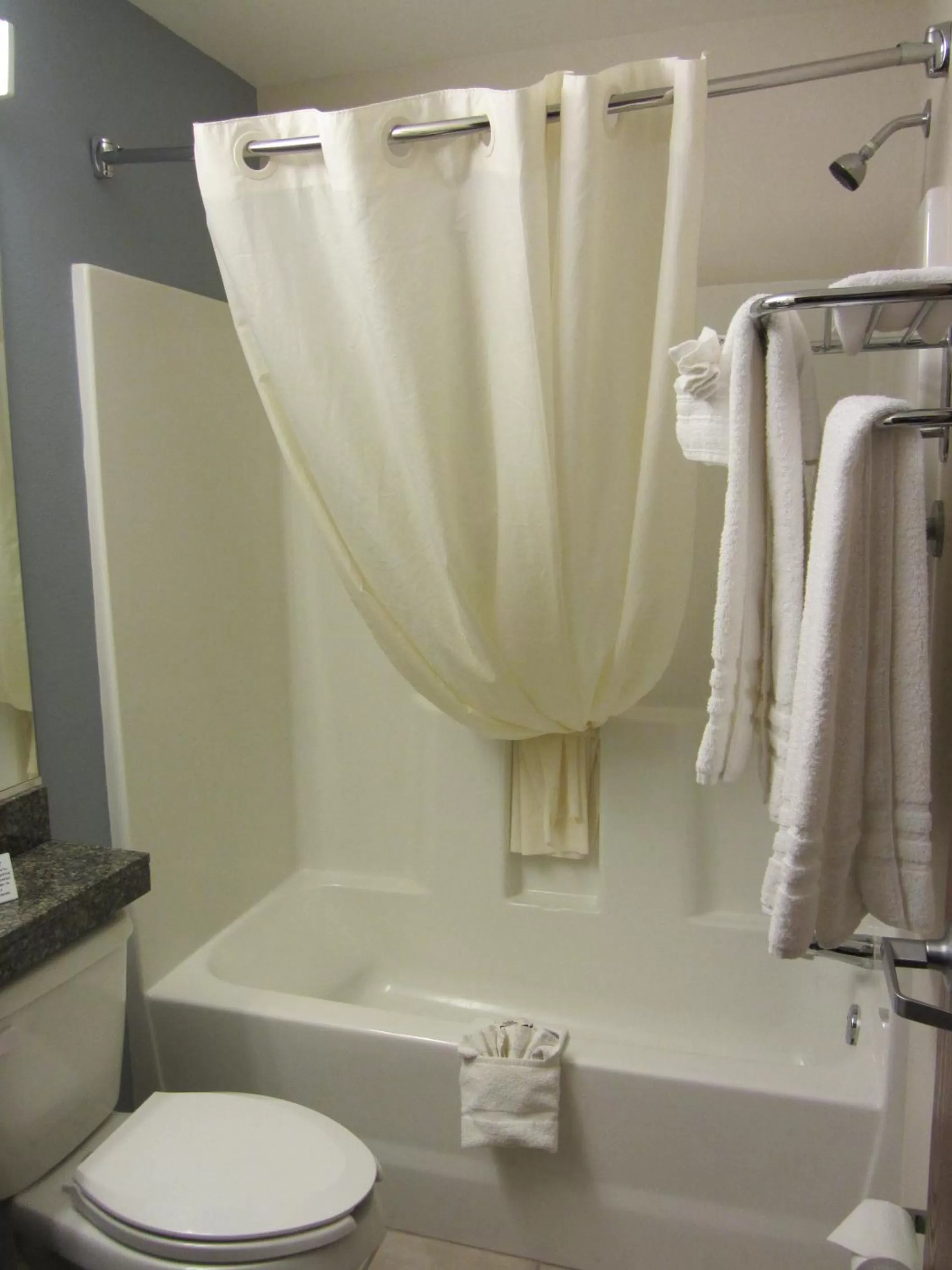 Shower in Microtel Inn and Suites San Angelo