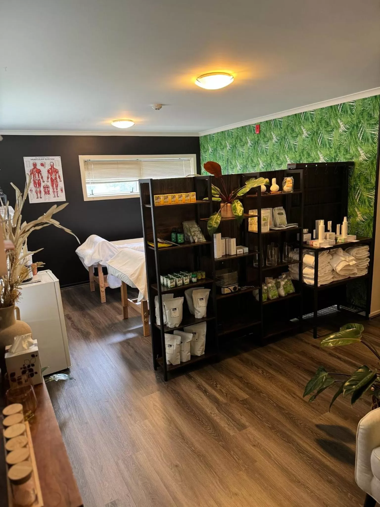 Spa and wellness centre/facilities, Bed in B-Ks Premier Motel Palmerston North