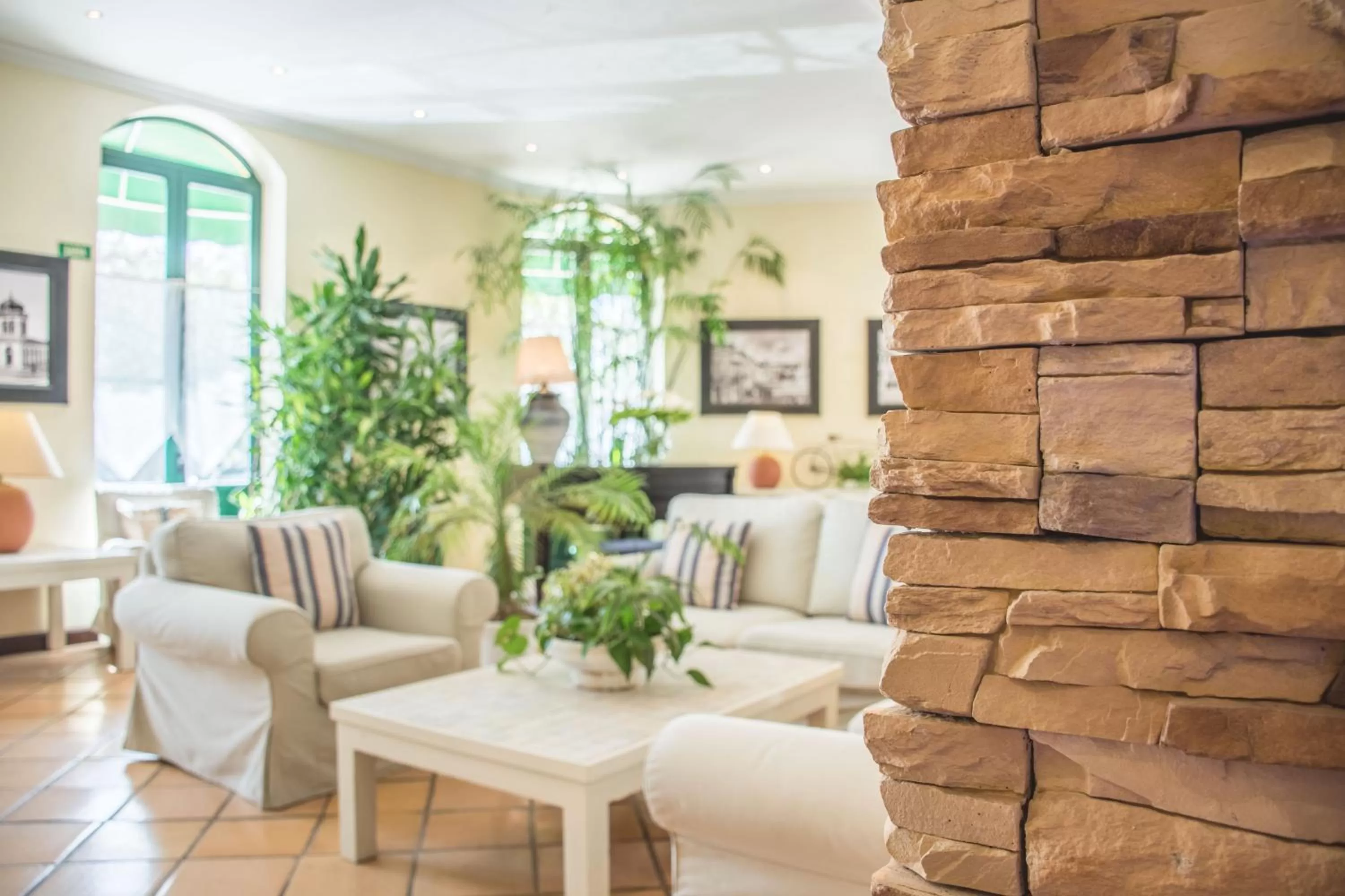 Communal lounge/ TV room in Loule Jardim Hotel