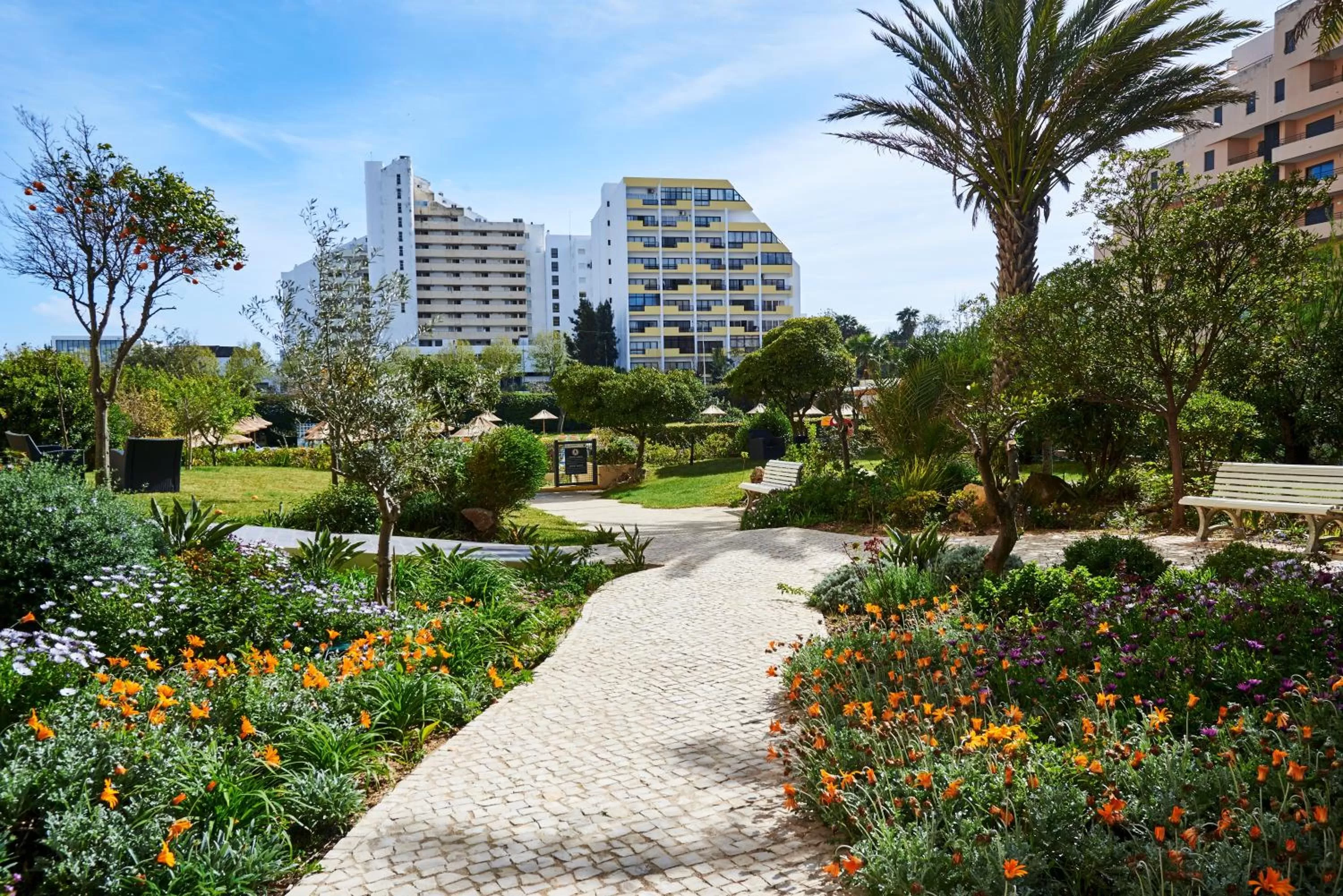 Garden in RR Club Amarilis