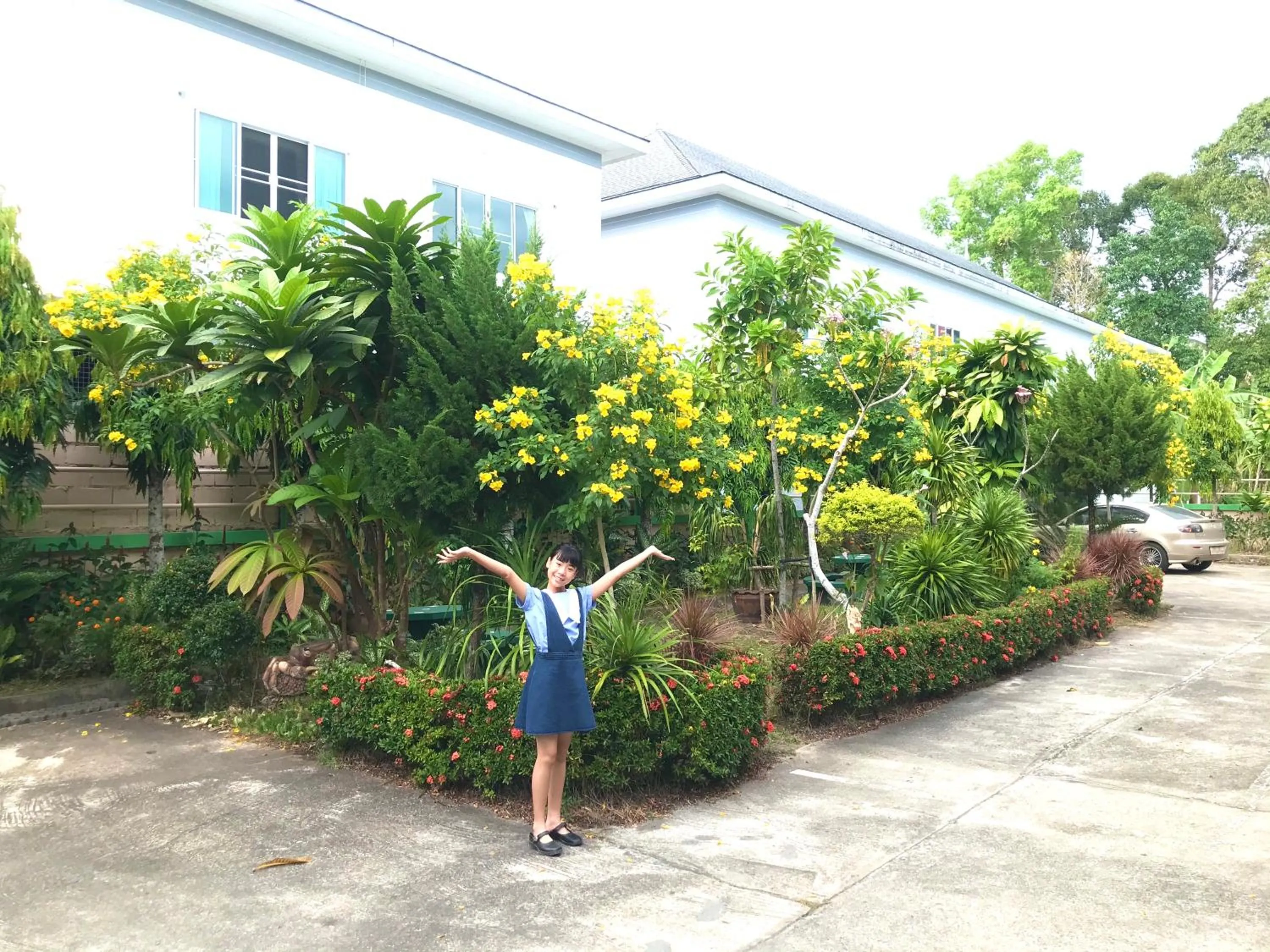 Natural landscape in J.Holiday Inn Krabi
