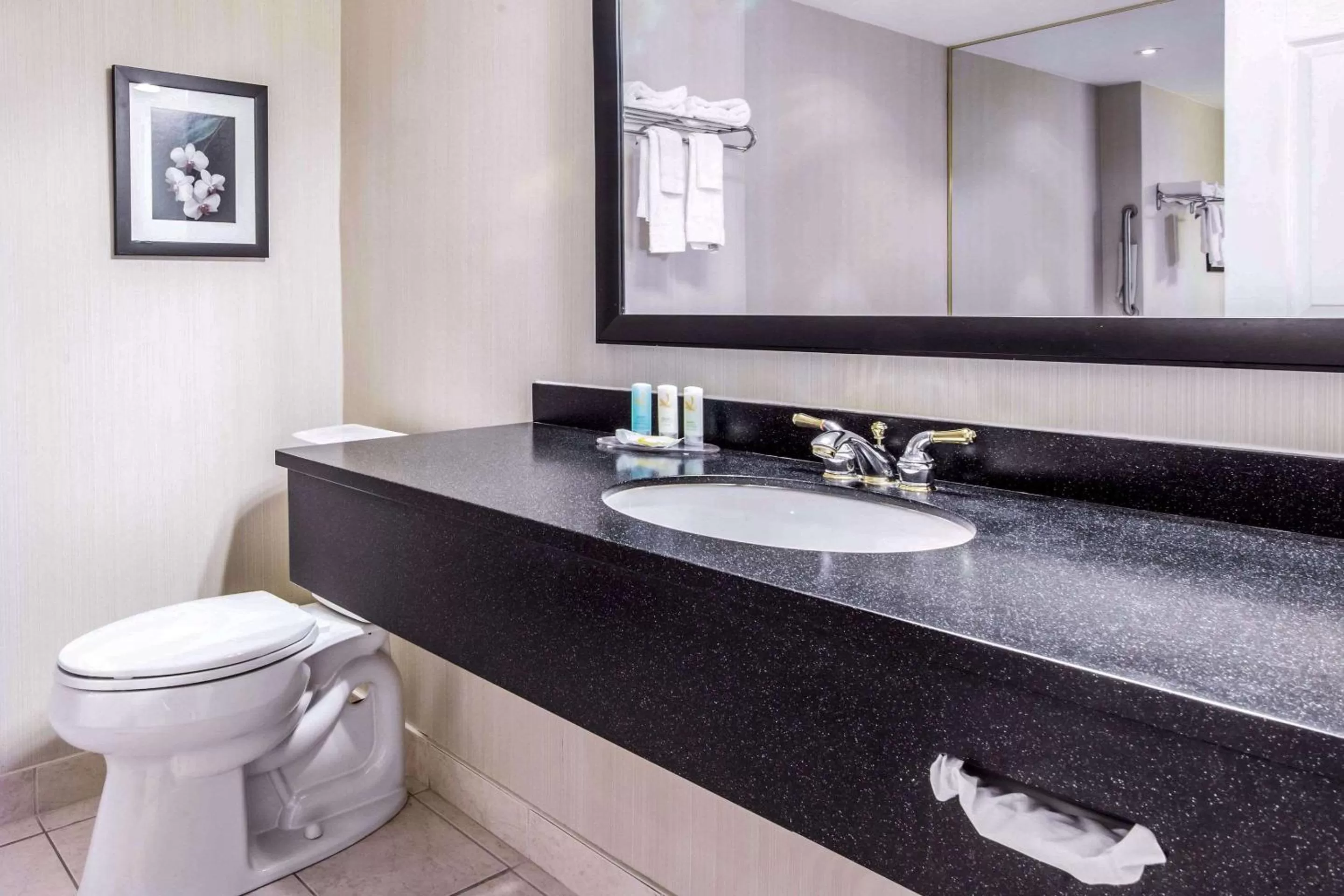 King Room with Sofa Bed - Non-Smoking in Quality Inn Airport West