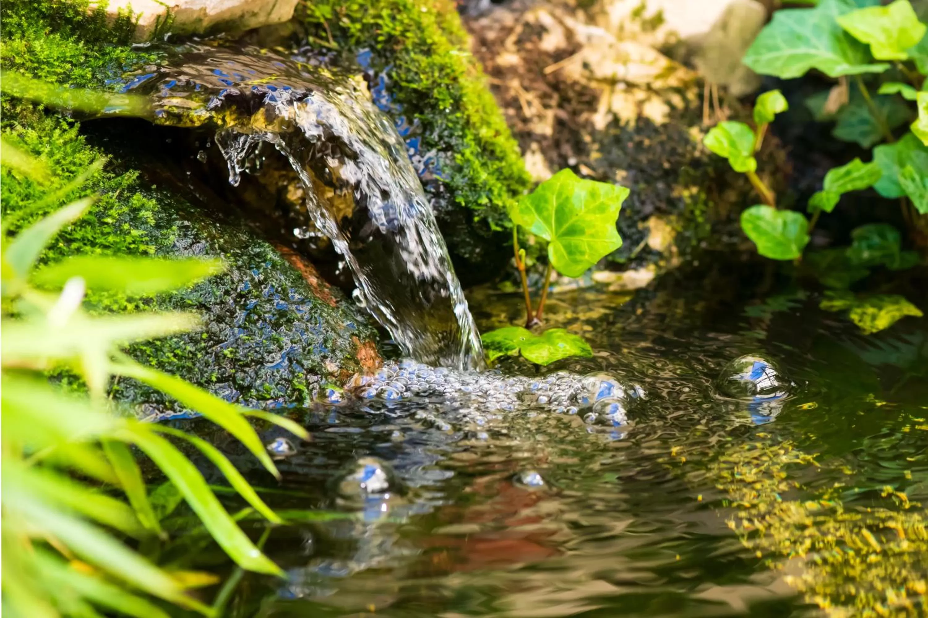 Garden view, Other Animals in Mercure Hotel Berlin Mitte