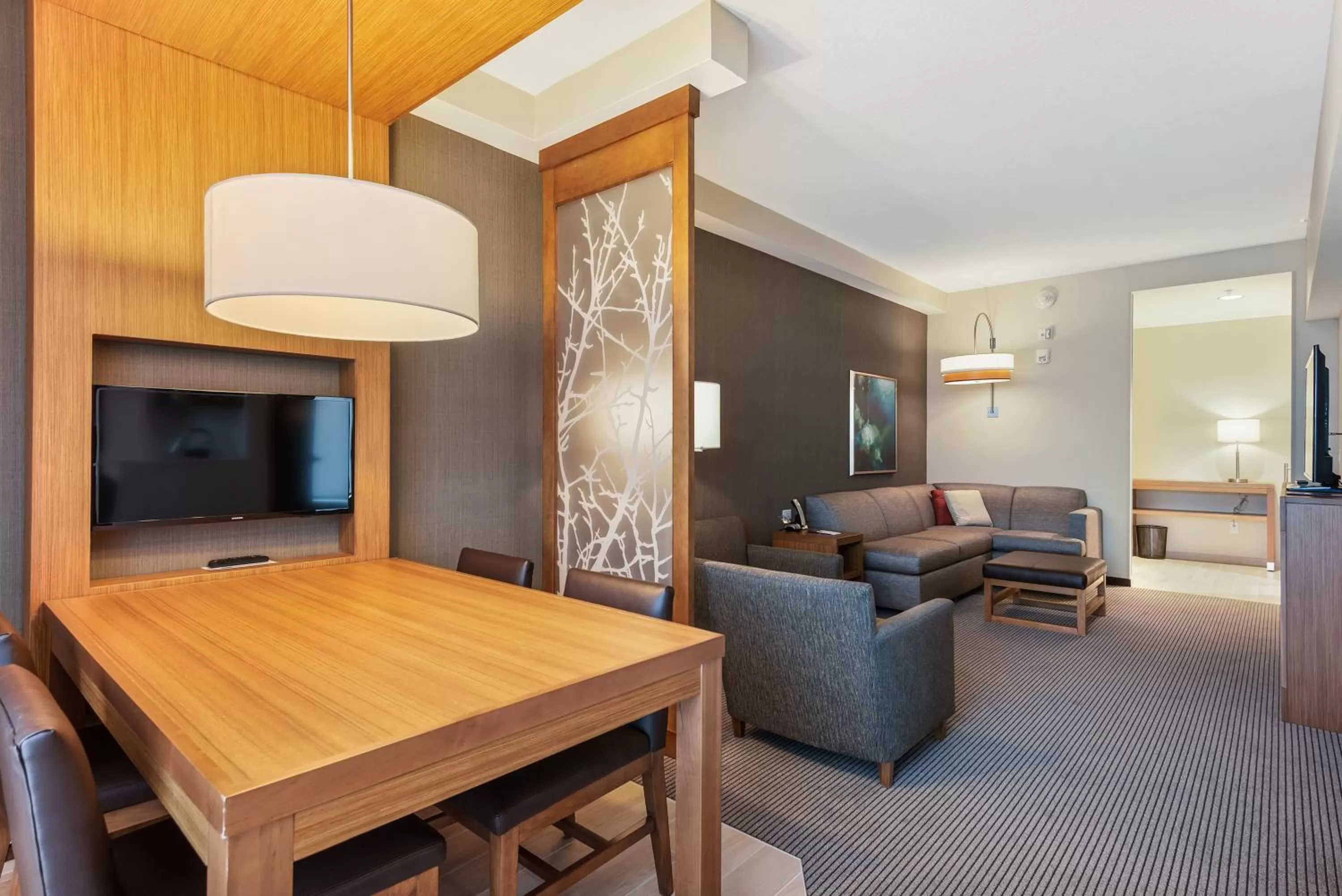 TV and multimedia in Hyatt Place Tampa/Wesley Chapel