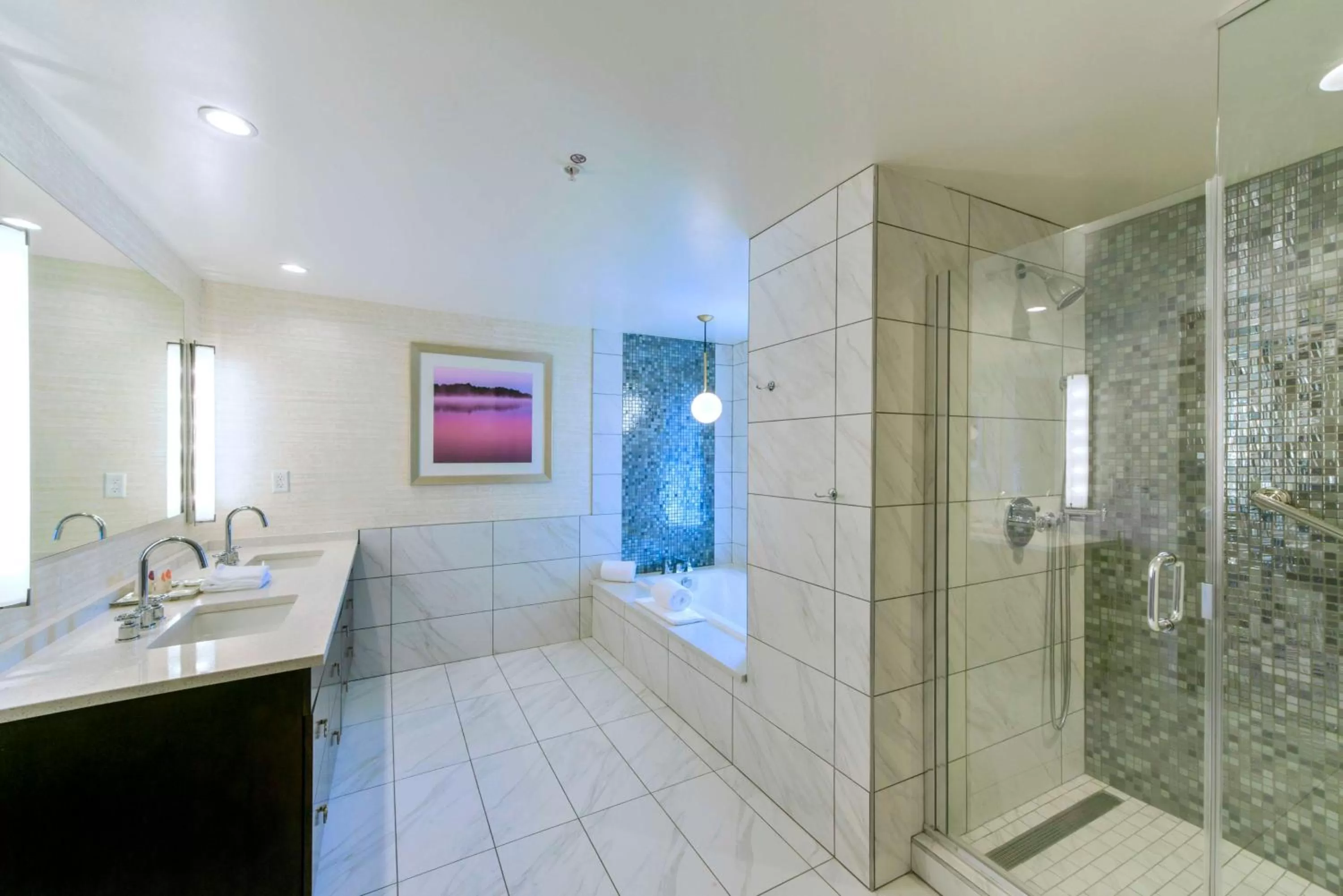 Shower in DoubleTree by Hilton Asheville Downtown