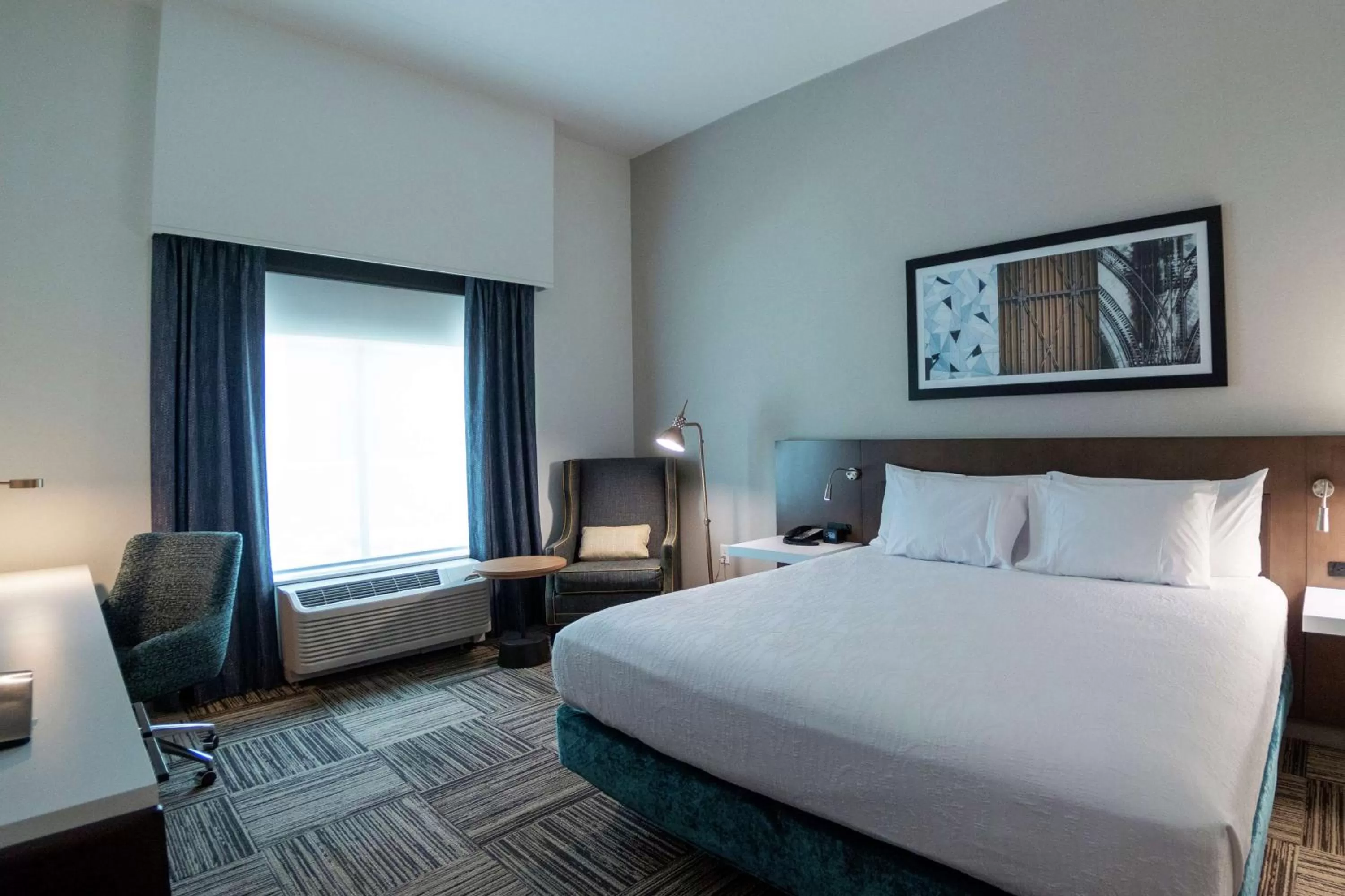 Premium King Room in Hilton Garden Inn Spartanburg