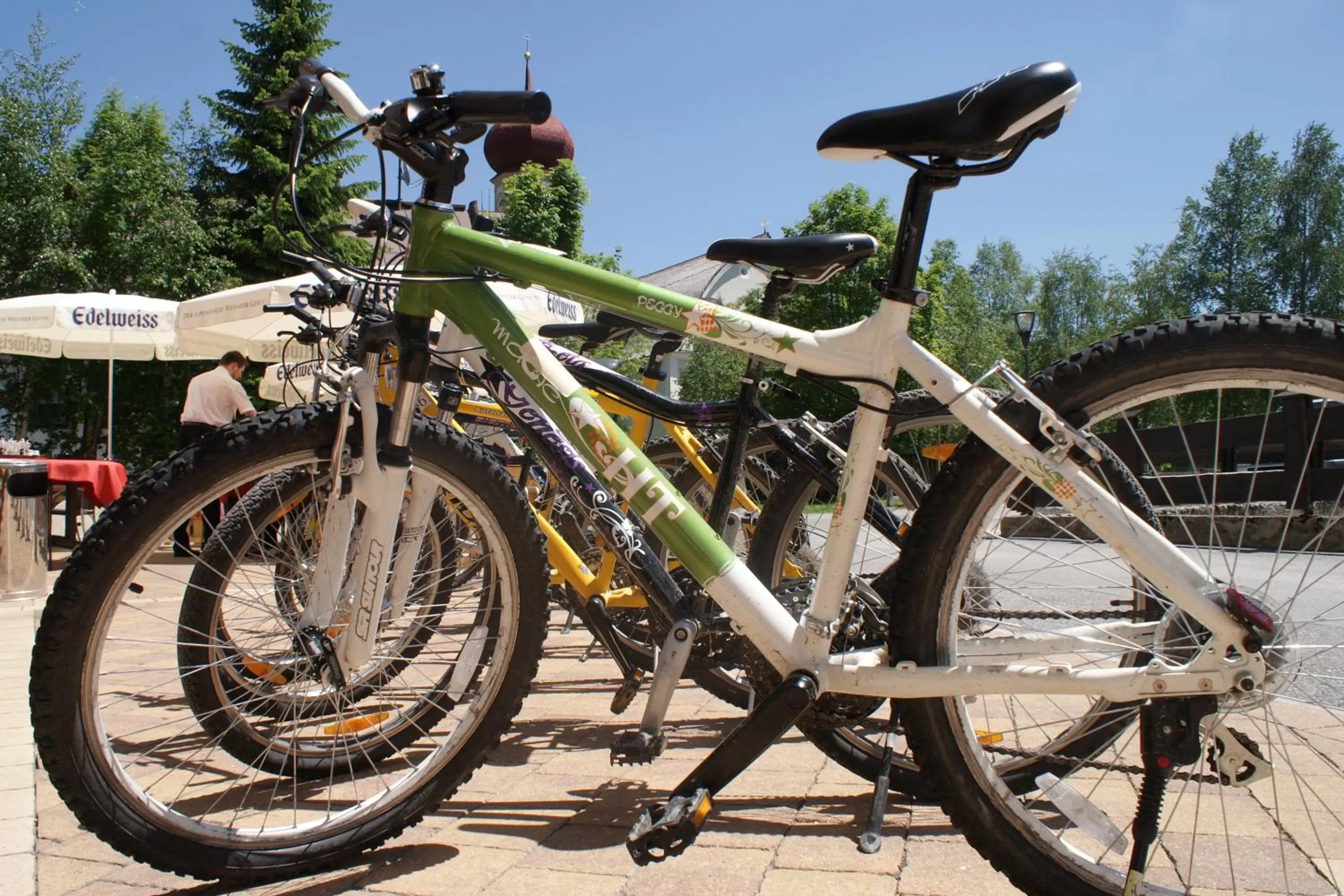 Facade/entrance, Biking in Sporthotel Xander