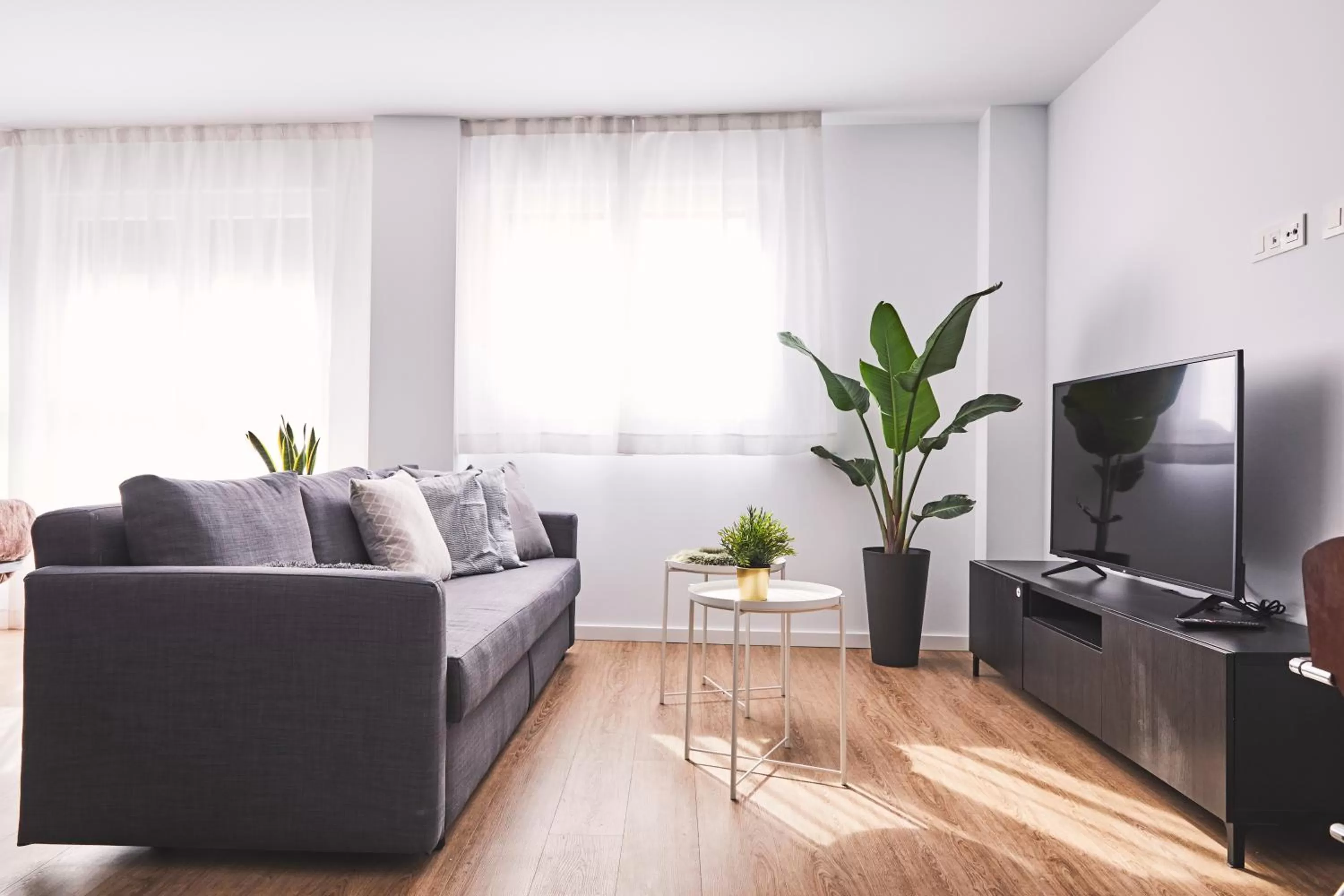 TV and multimedia in Ribalta Sensaciones