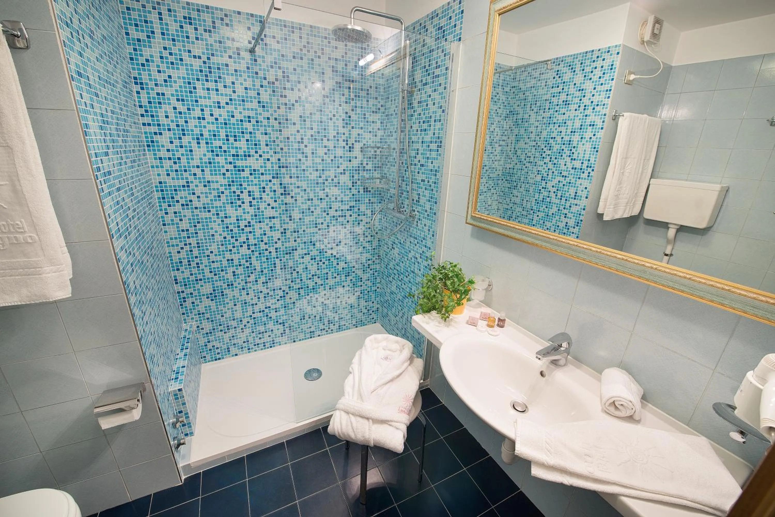 Bathroom in Hotel Livigno