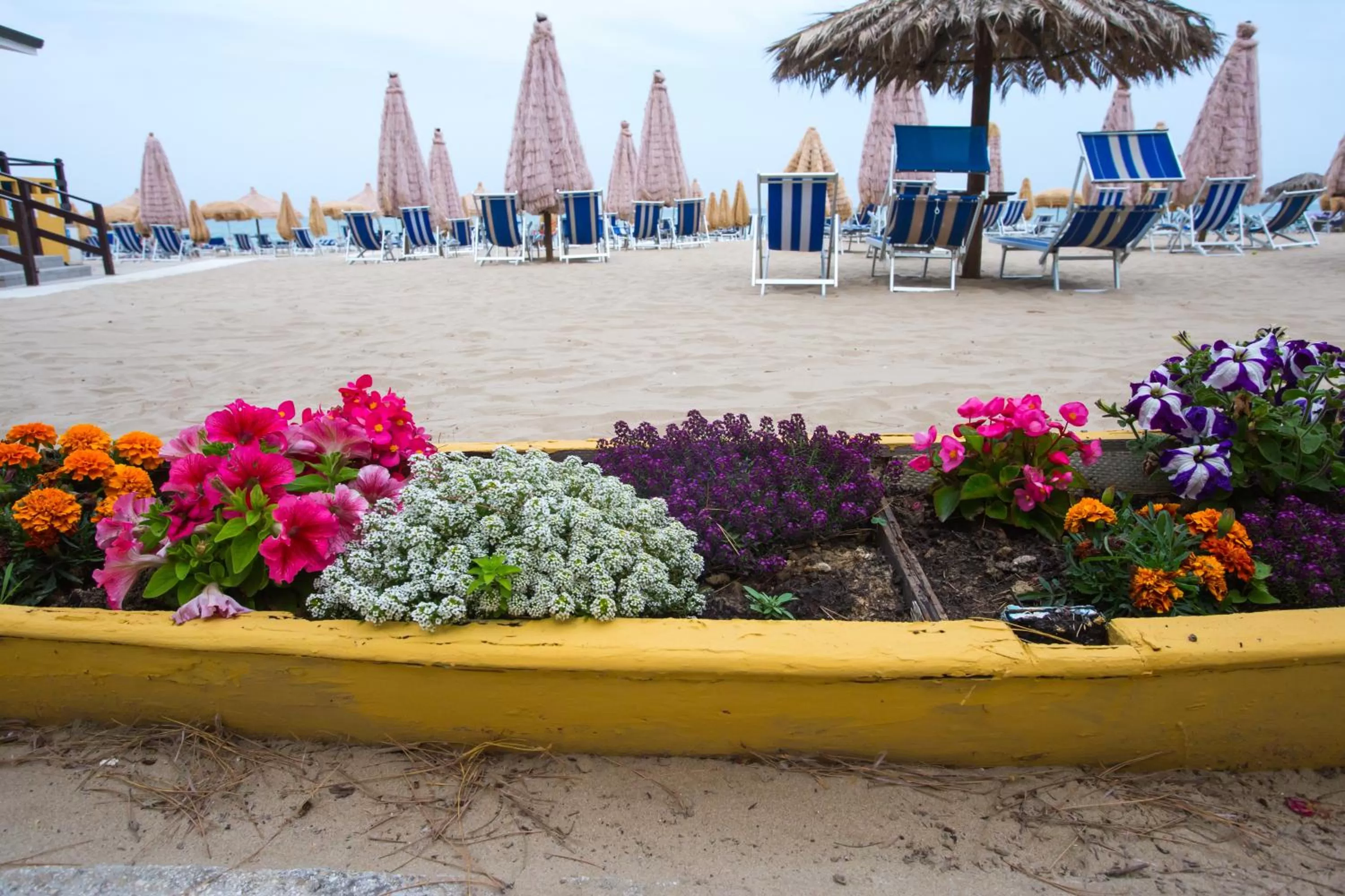 Beach in Hotel Cerrano