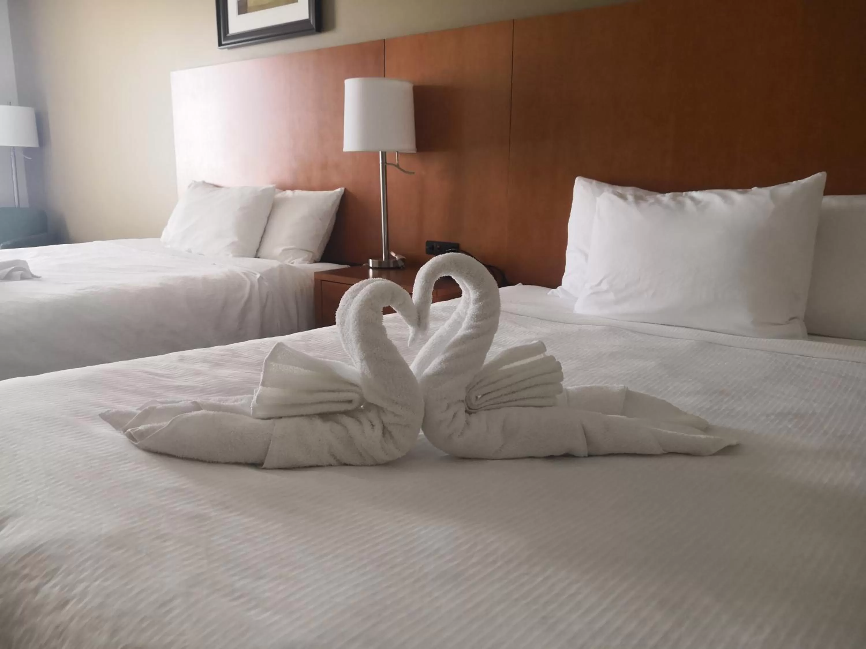 Photo of the whole room, Bed in Quality Inn & Suites