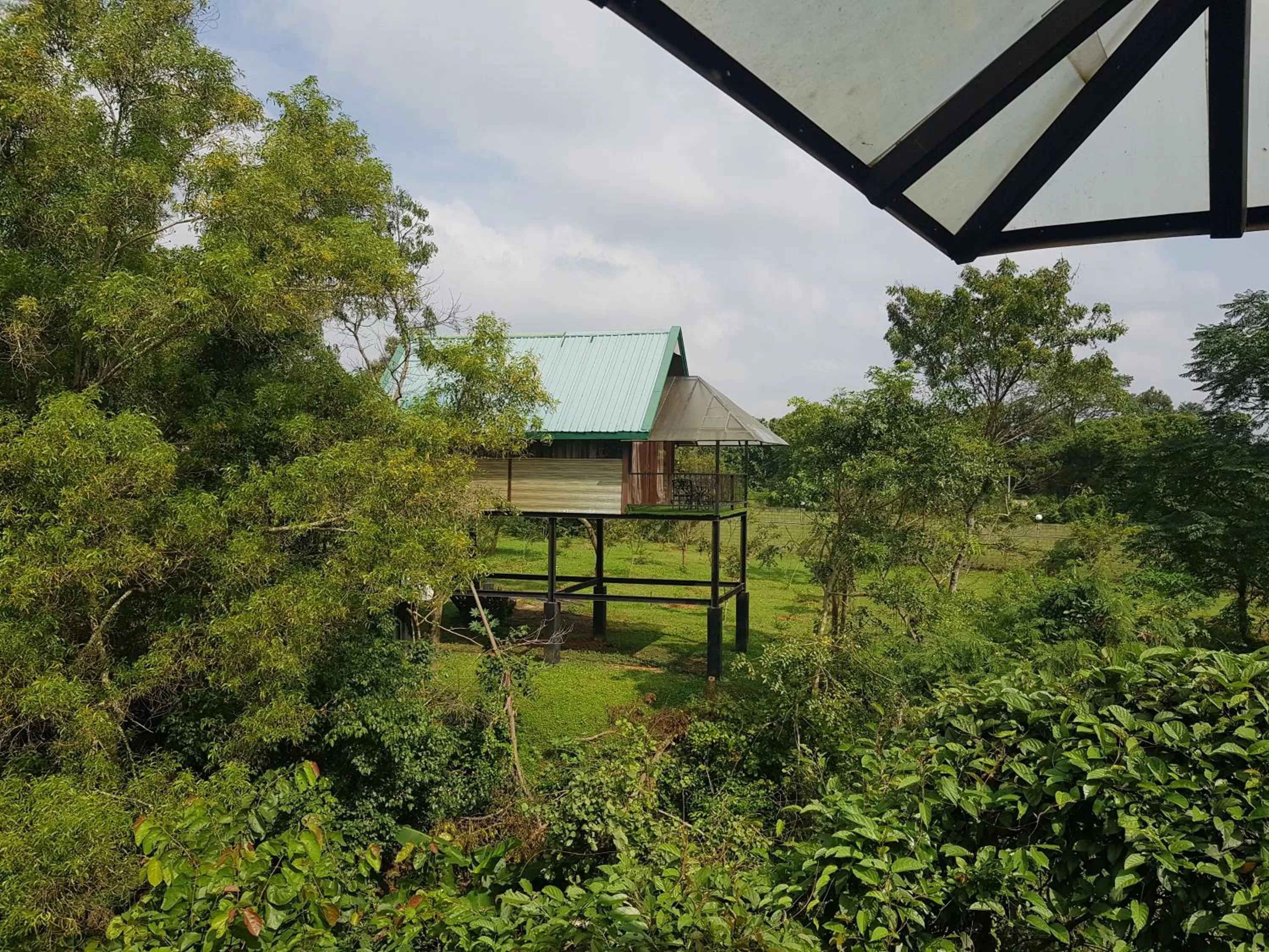 Natural landscape in Nice Place Resort