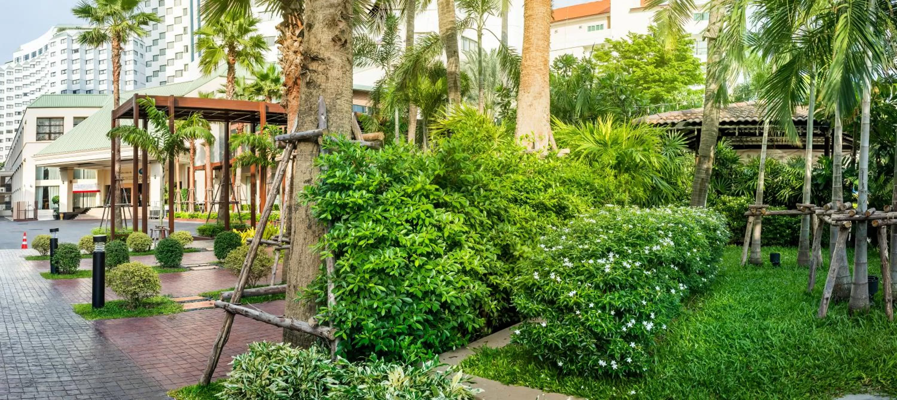 Garden in Jomtien Palm Beach Hotel and Resort
