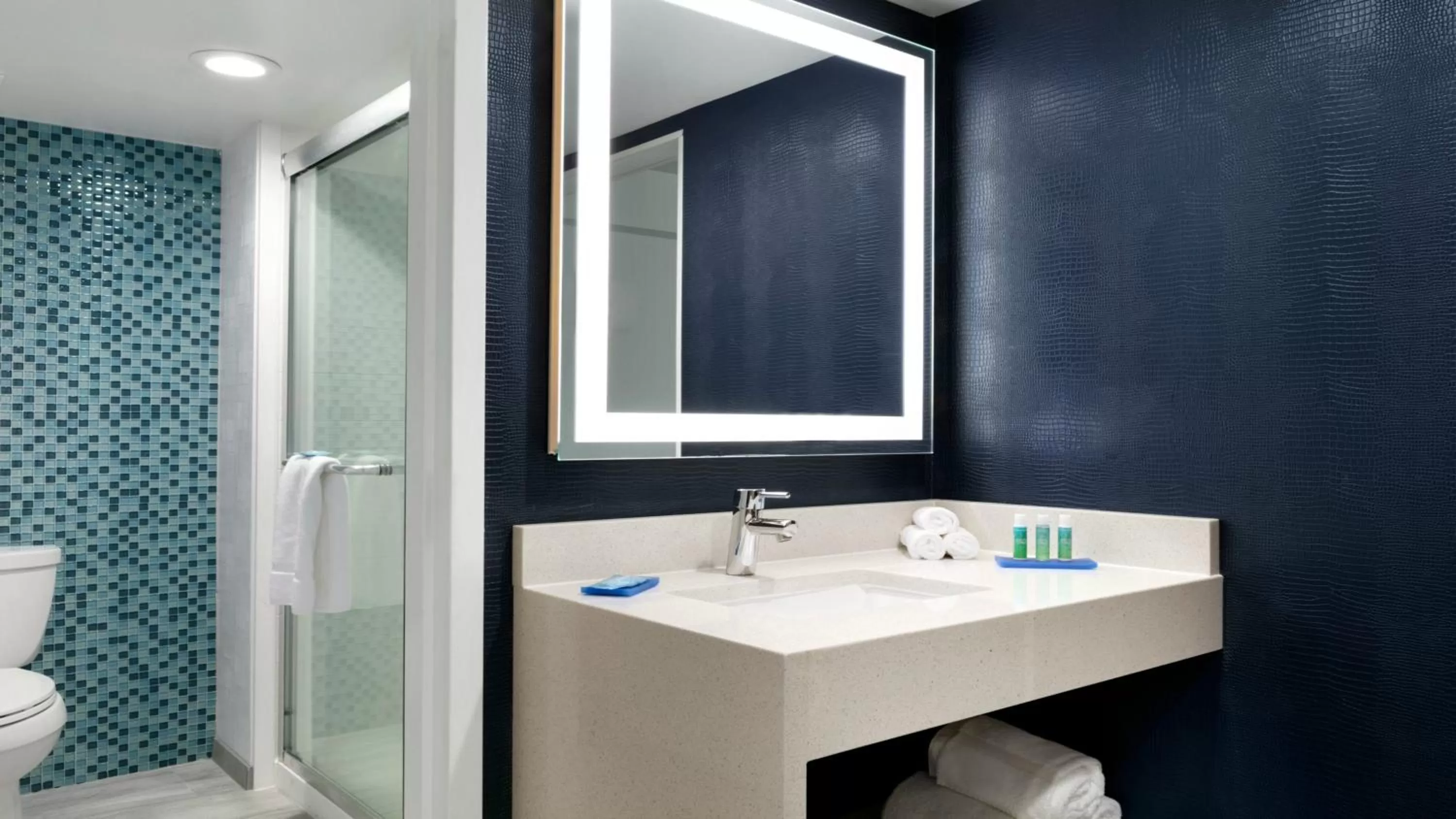 Executive King Room in Holiday Inn Express - Williamsburg Busch Gardens Area, an IHG Hotel