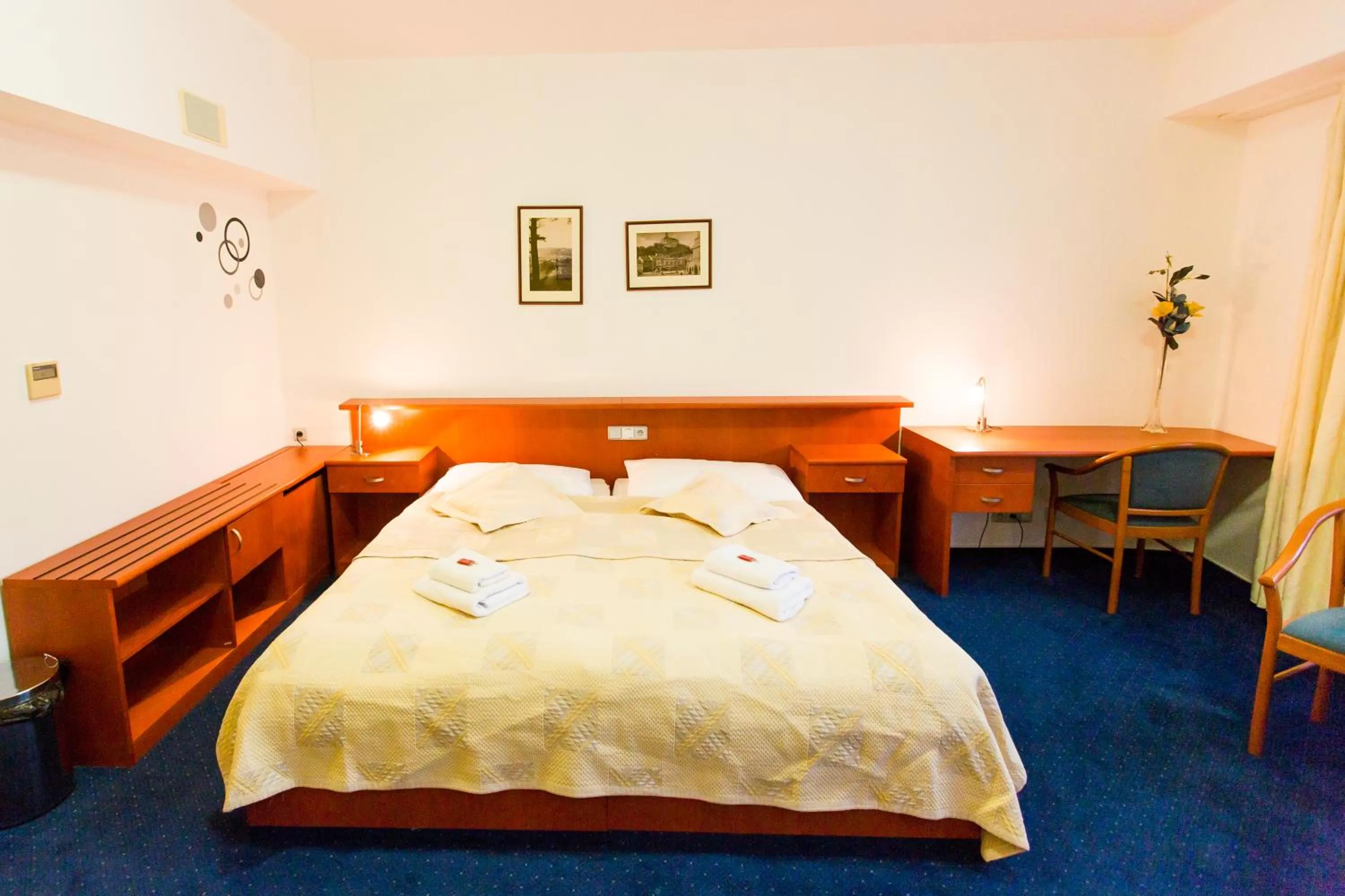 Superior Double Room - single occupancy in Hotel U Beránka Náchod