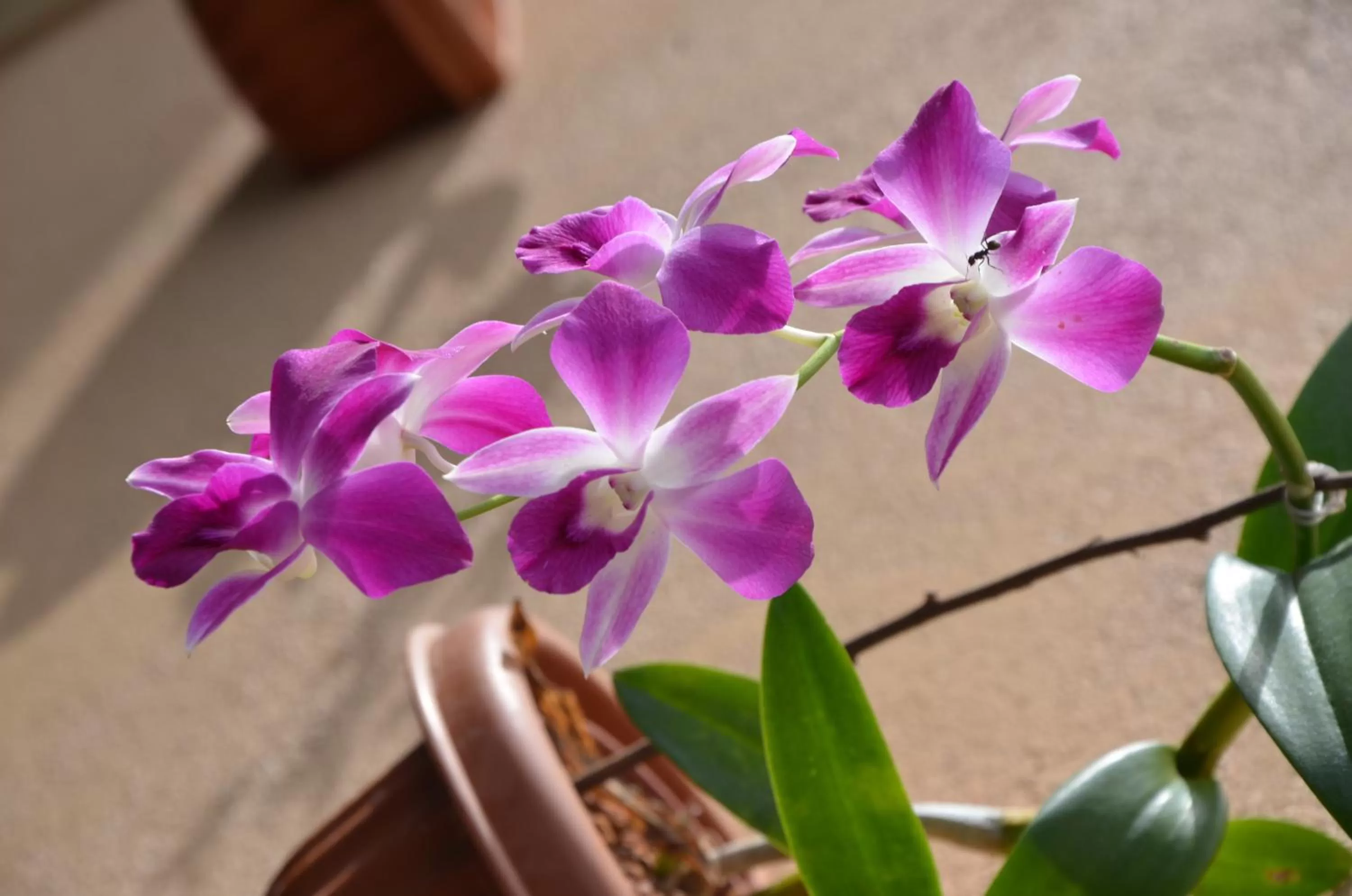 Nearby landmark in Otha Shy Airport Transit Hotel