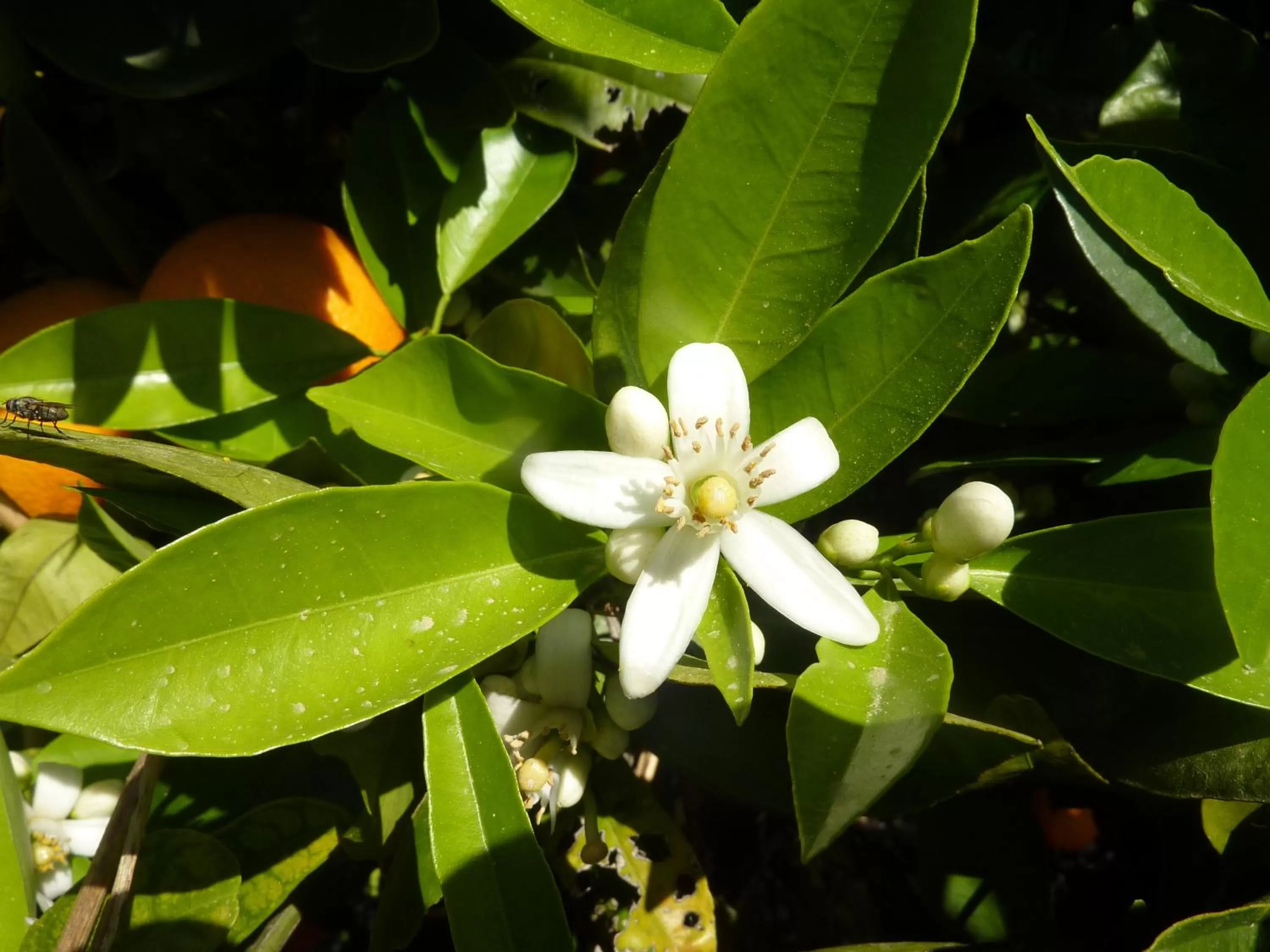 Other in Aphrodite Beach Hotel