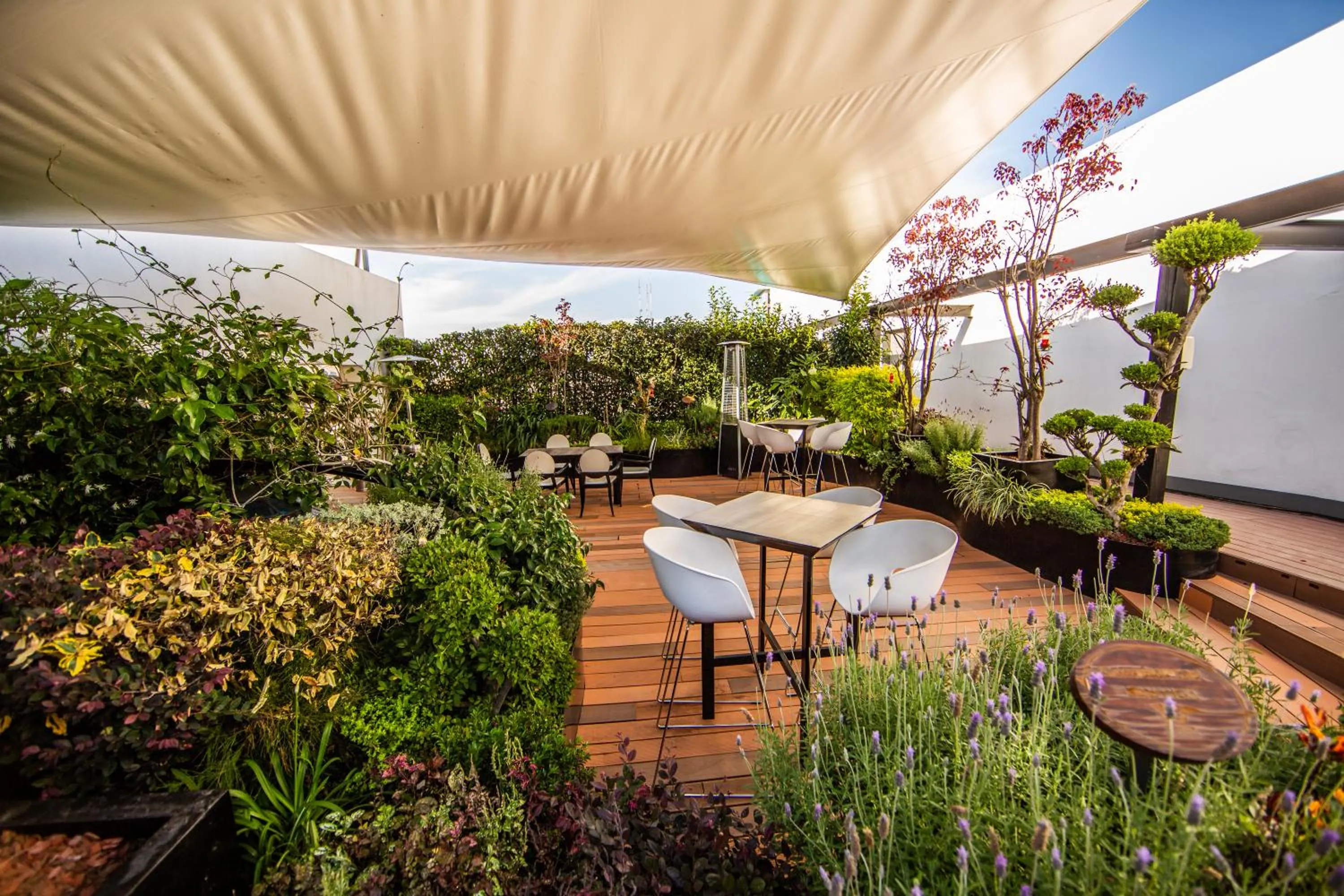 Restaurant/places to eat in Cantera 10 Hotel Boutique