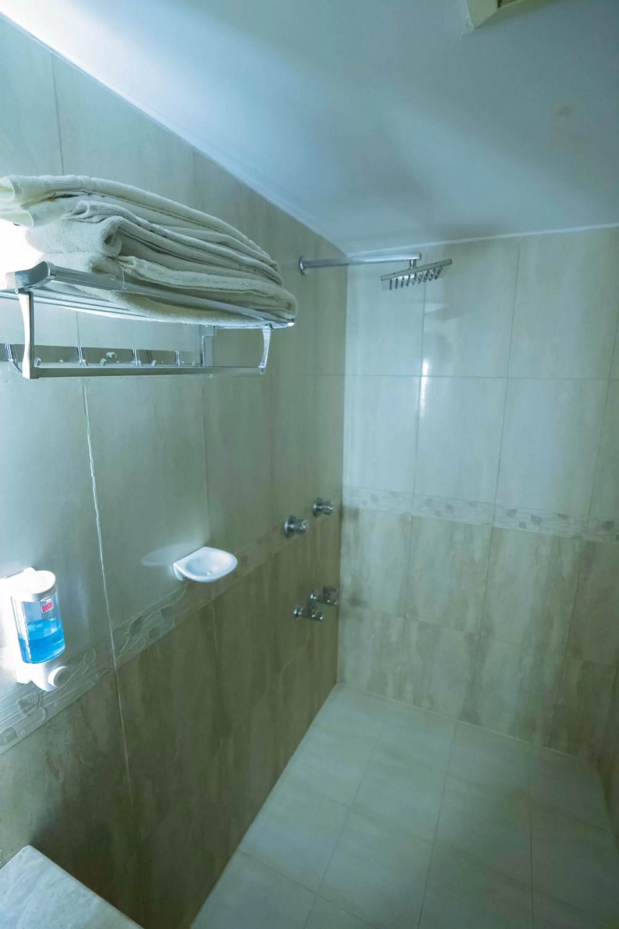 Shower, Bathroom in Central Inn Dhaka City Centre