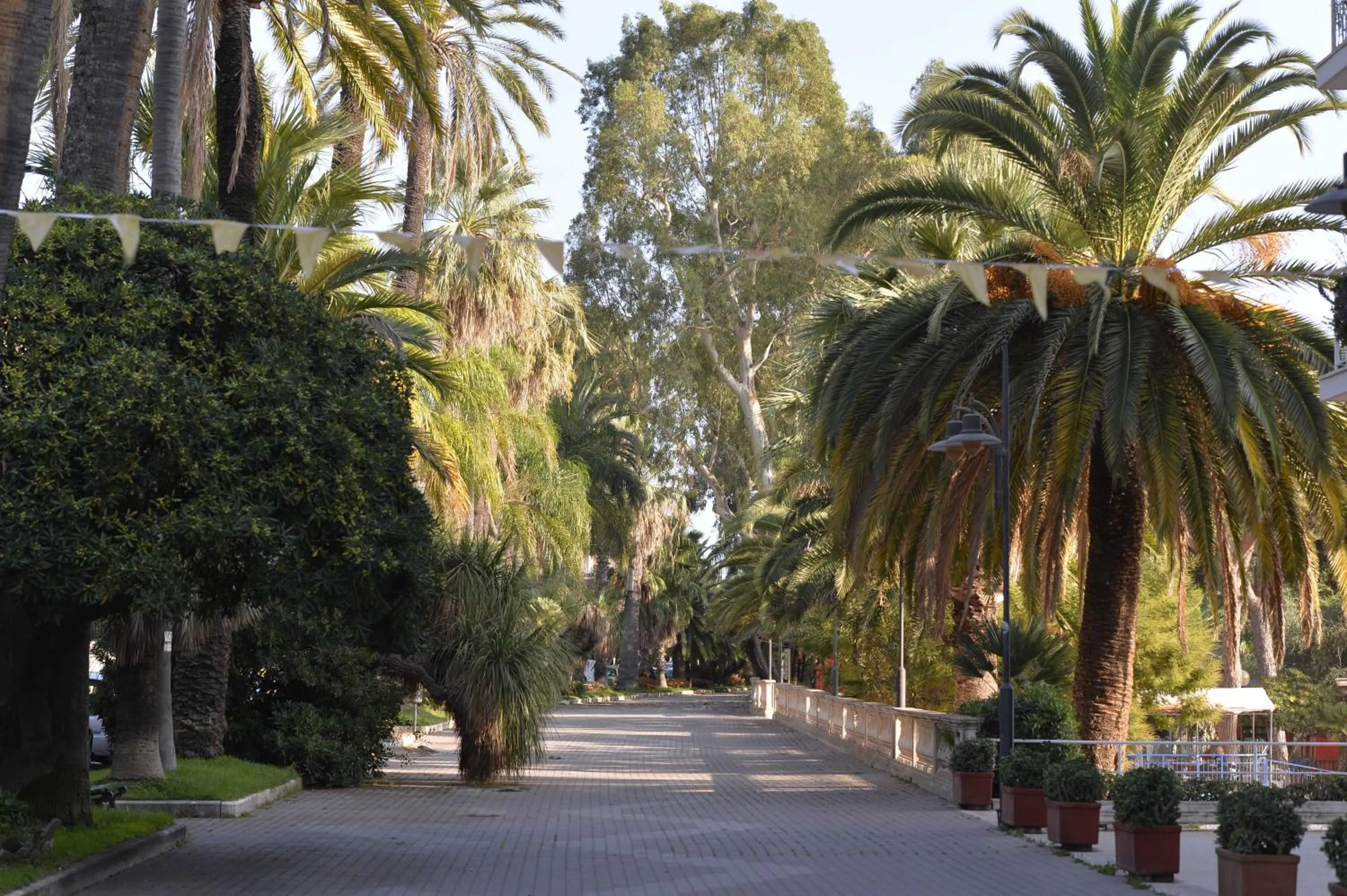 Garden in Hotel Petit Royal