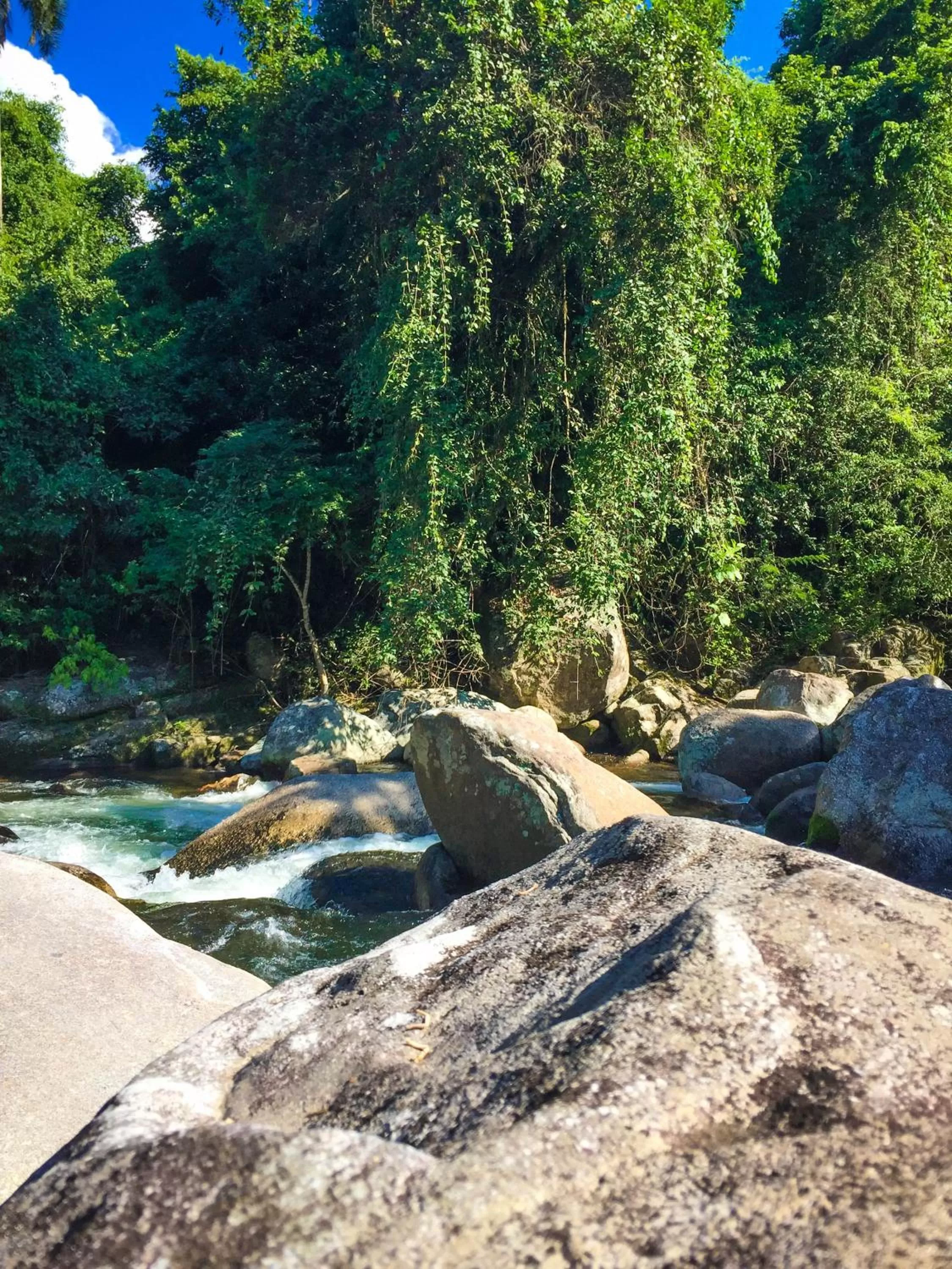 Natural landscape in Pousada Canto do Curió Paraty