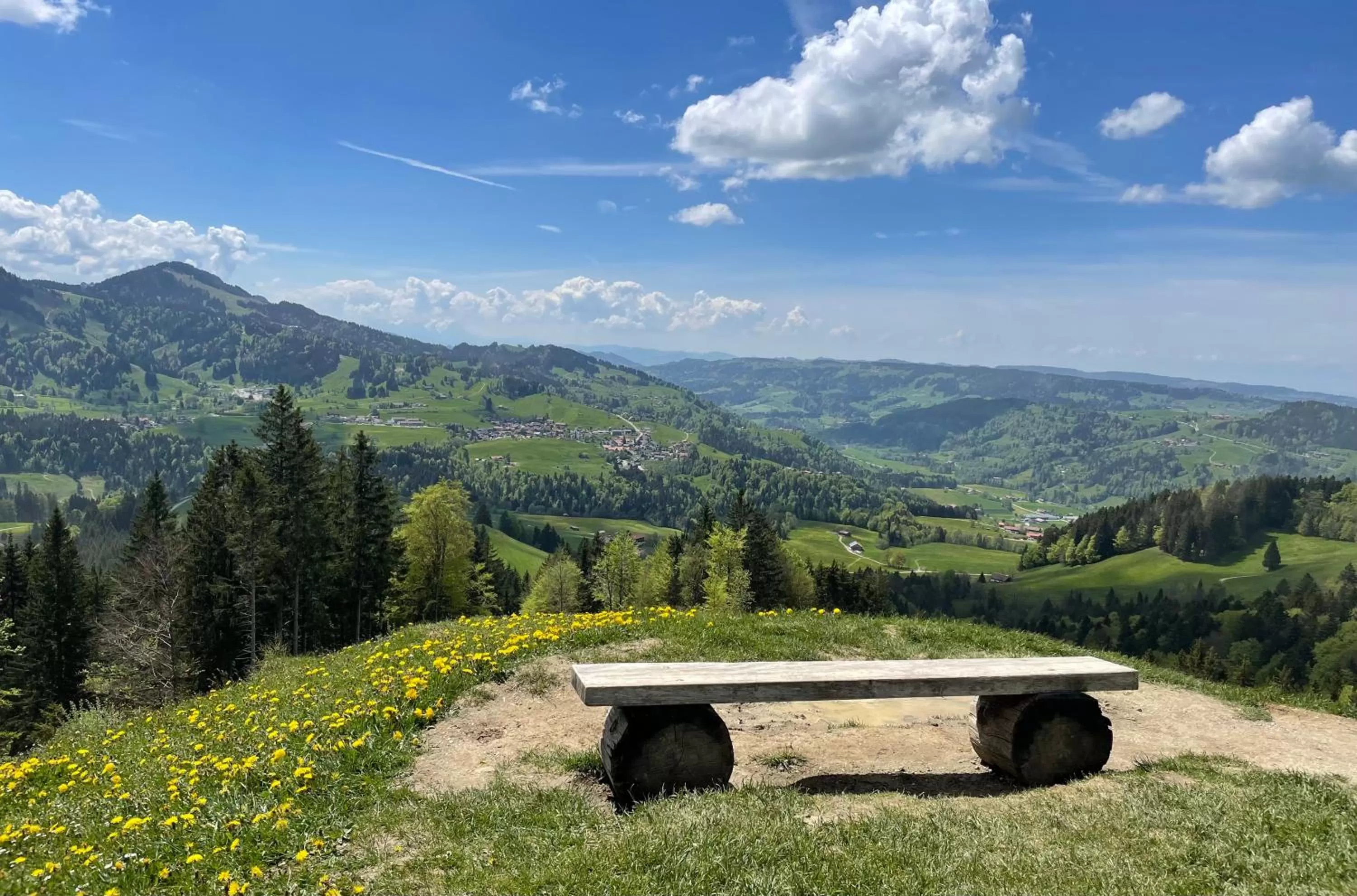 Staff in Parkhotel Oberstaufen