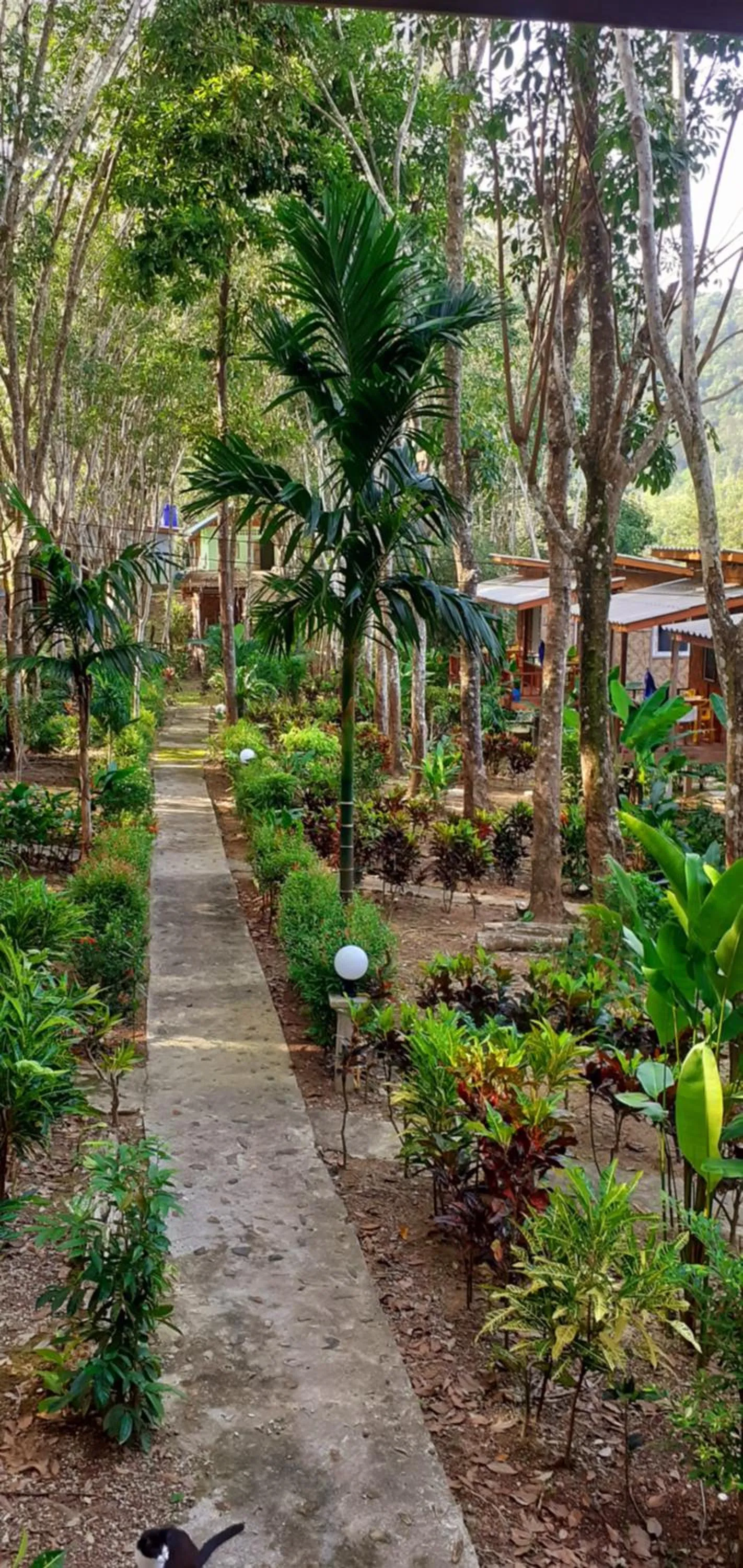 Garden in Lanta Maikeaw Bungalow