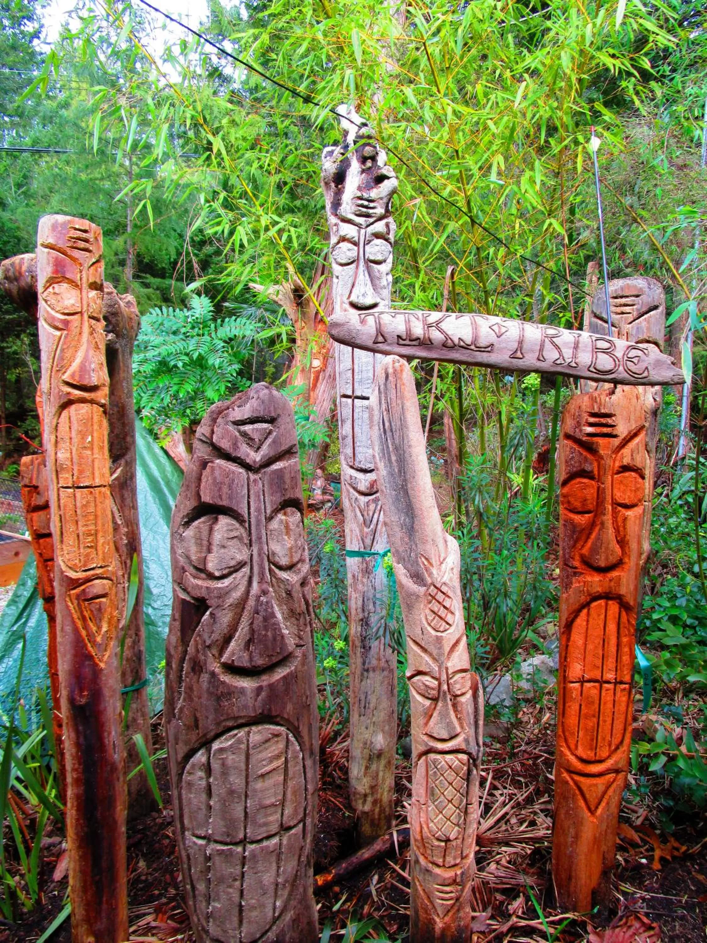 Garden in Magnolia Petal