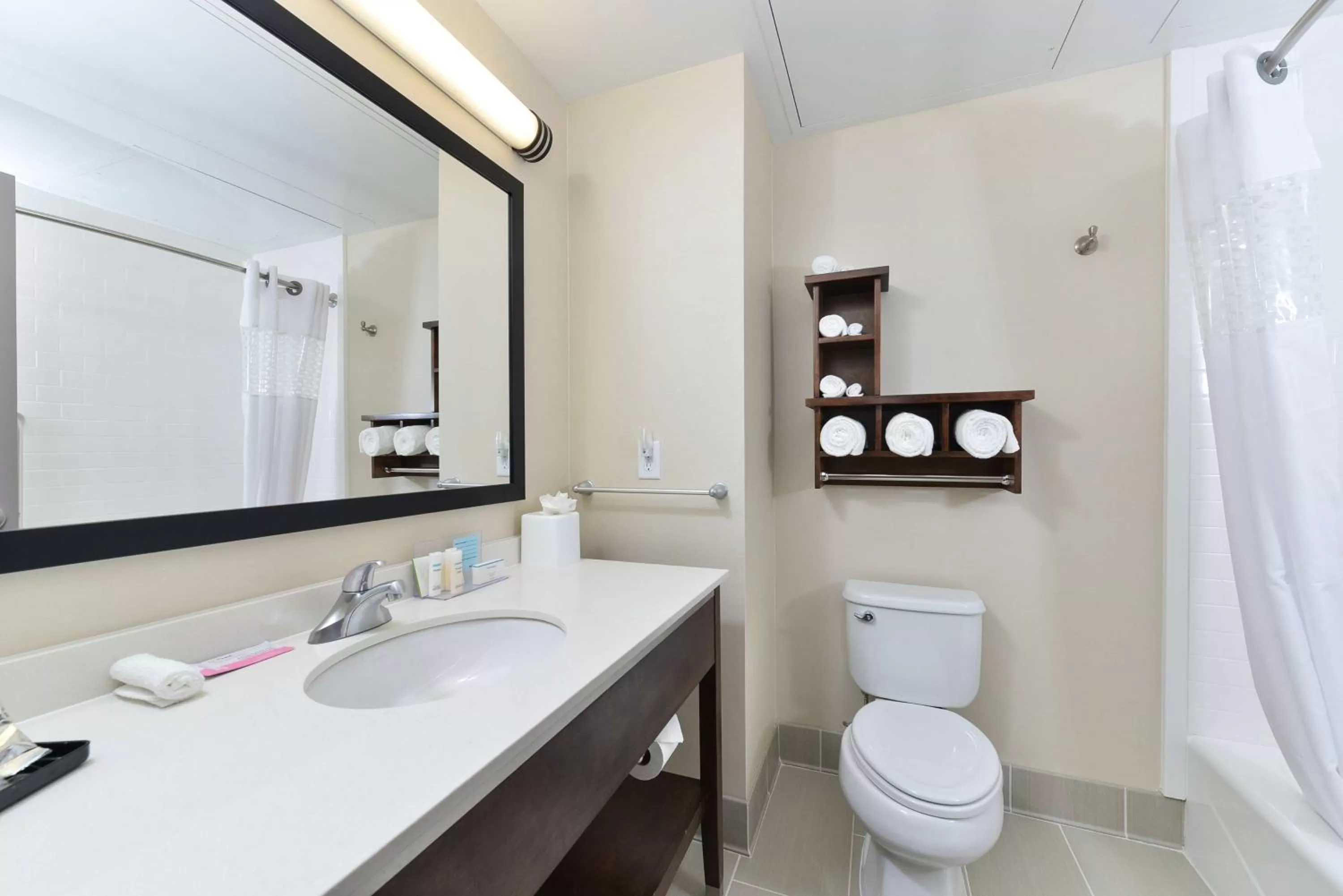 Bathroom in Hampton Inn & Suites Des Moines Downtown