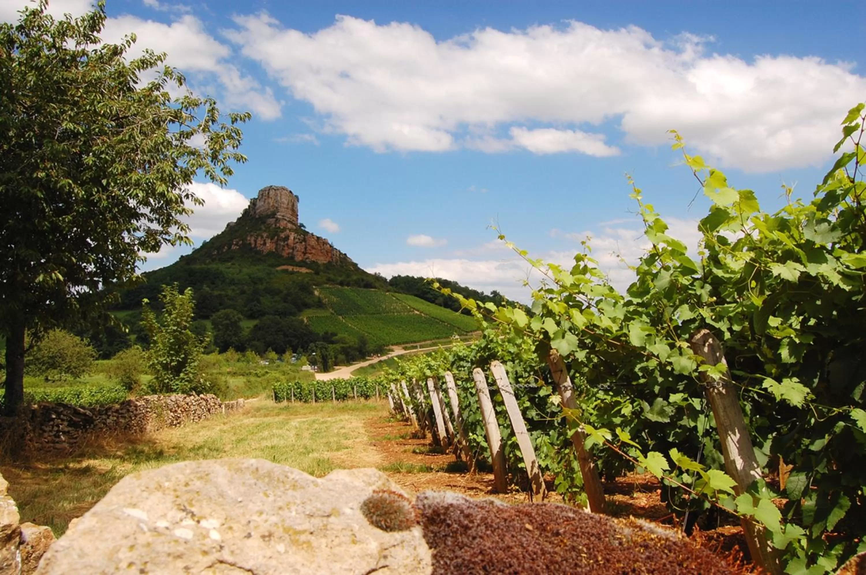 Nearby landmark in ibis Styles Macon Centre