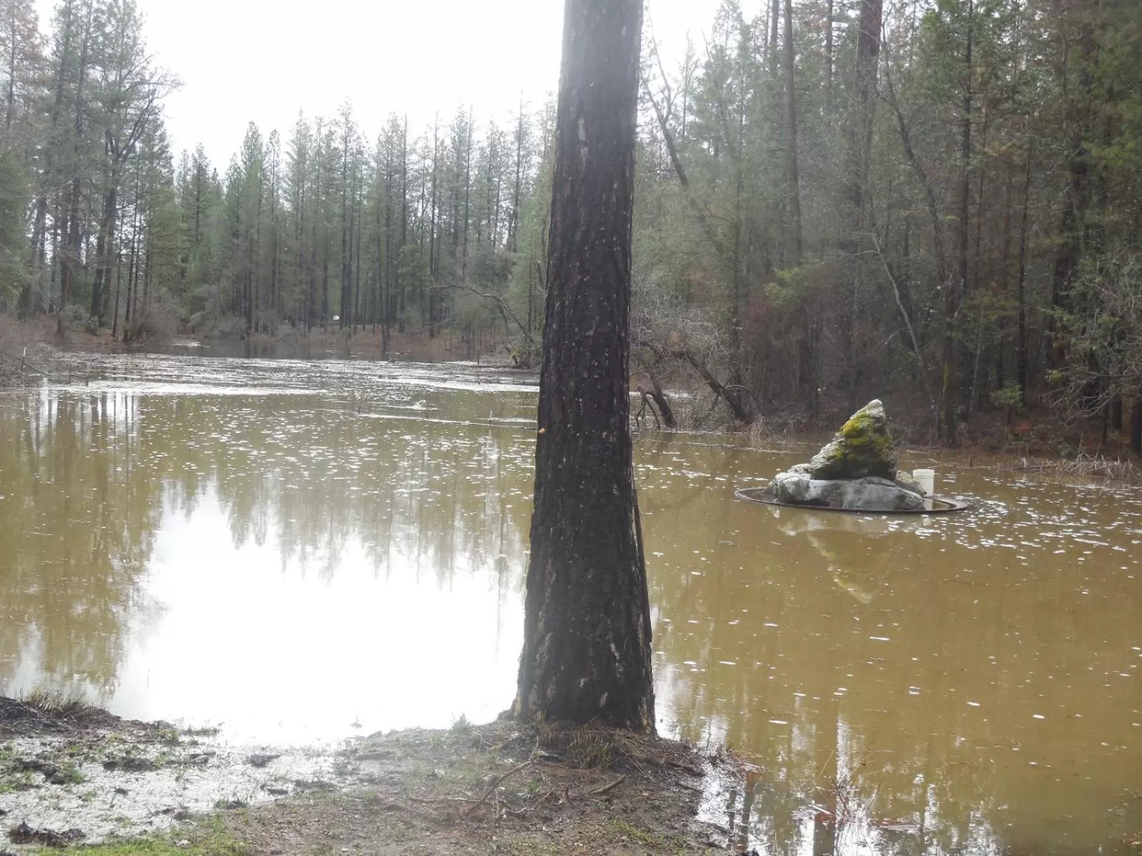 Property building in Yosemite Paradise Inn