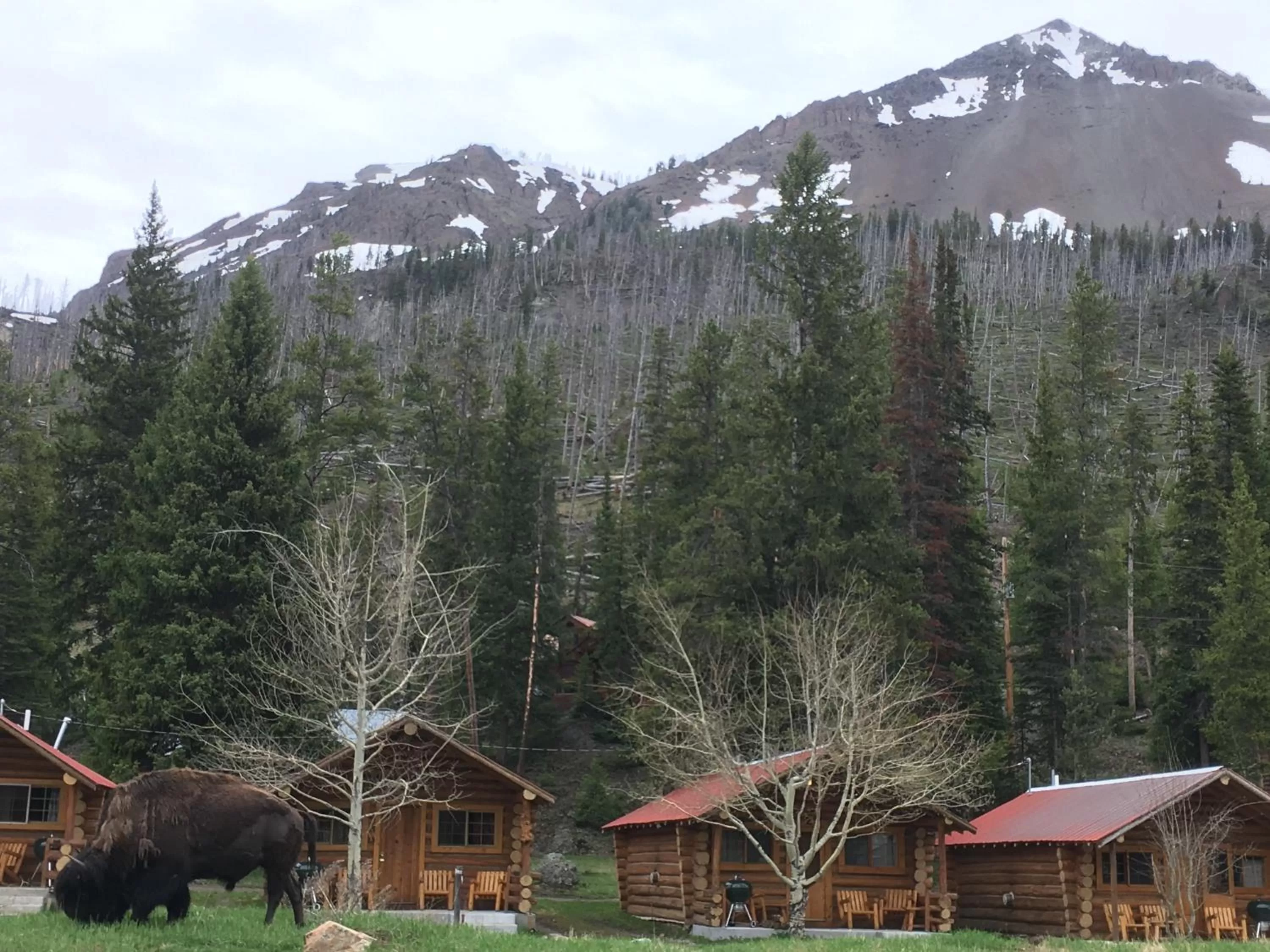 BBQ facilities in Silver Gate Lodging