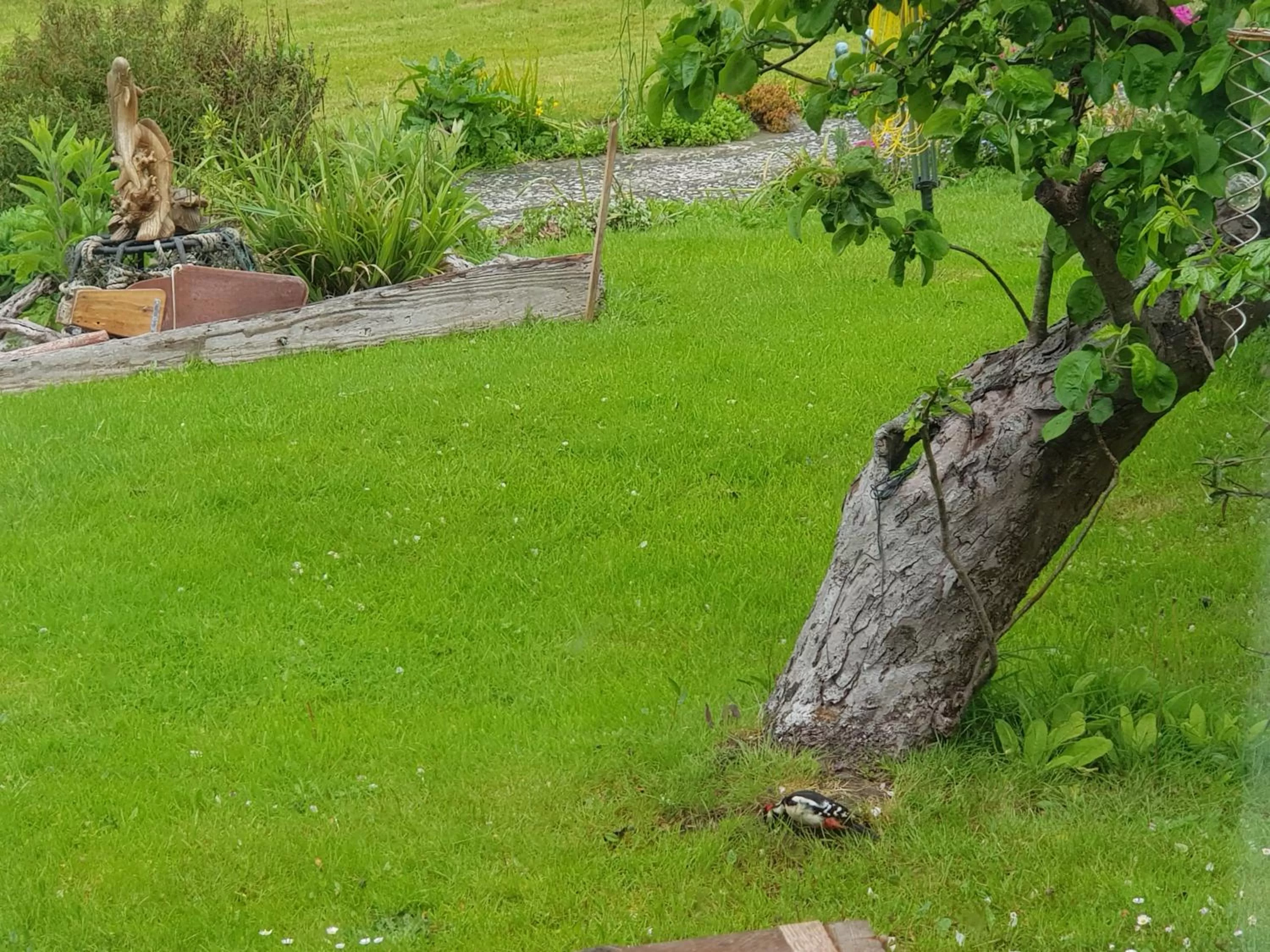 Garden view in Kingsmede Bed & Breakfast