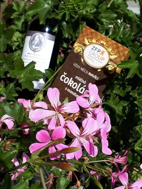 Hotel Akademie a depandance Vila Jarmila