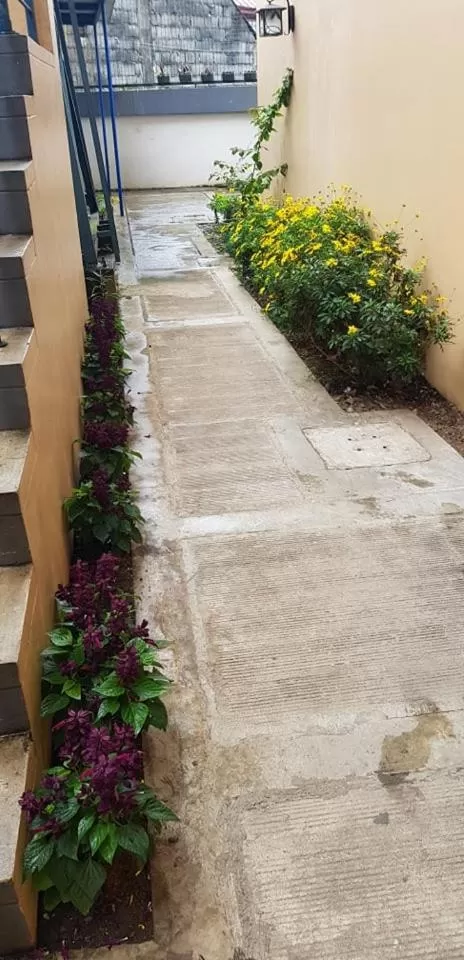 The Half House by Elmar Cabin