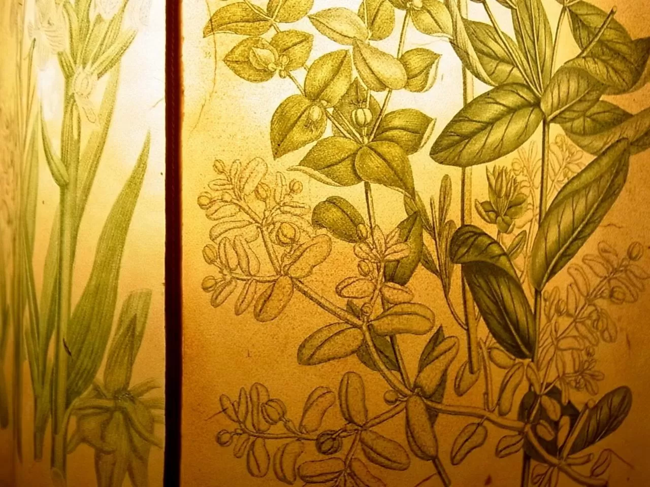 Lobby or reception in Hotel Cestelli