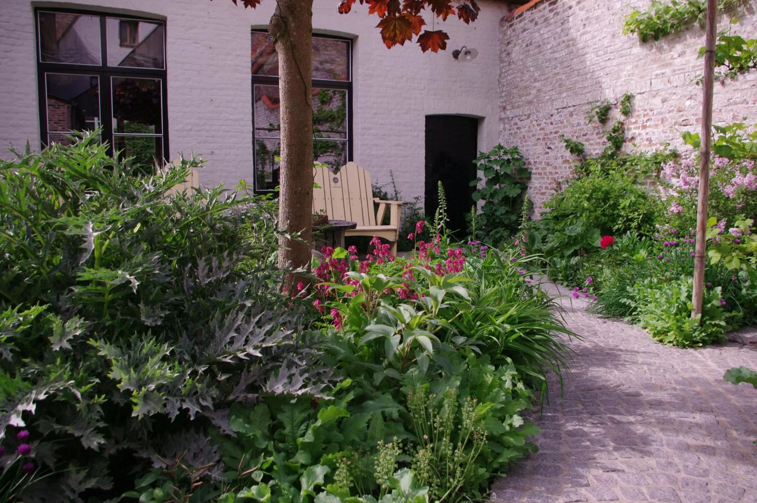 Patio in B&B Canal Deluxe