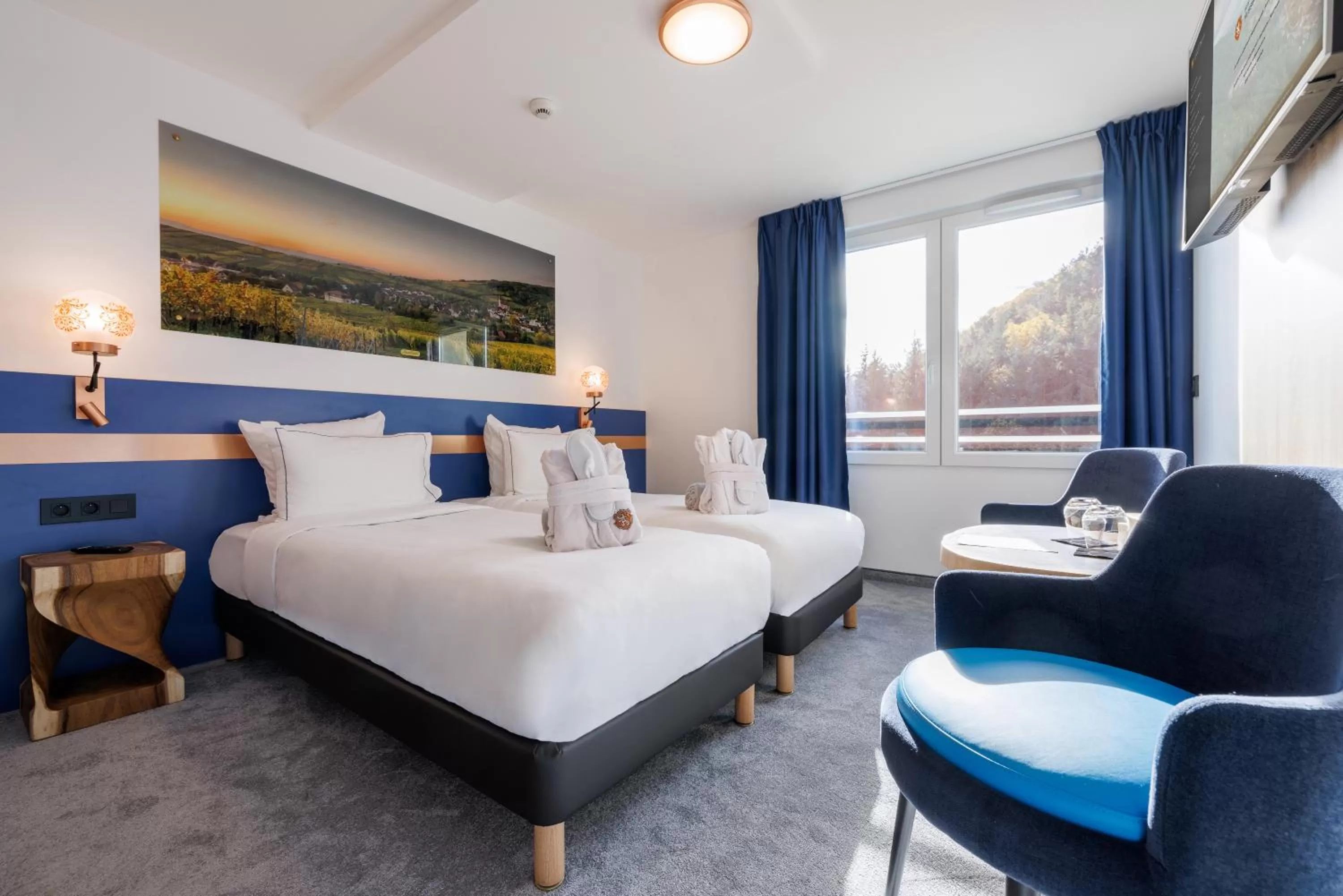 Superior Twin Room - access to the spa included in Hotel SPA Husseren Collections - Proche Colmar - Eguisheim