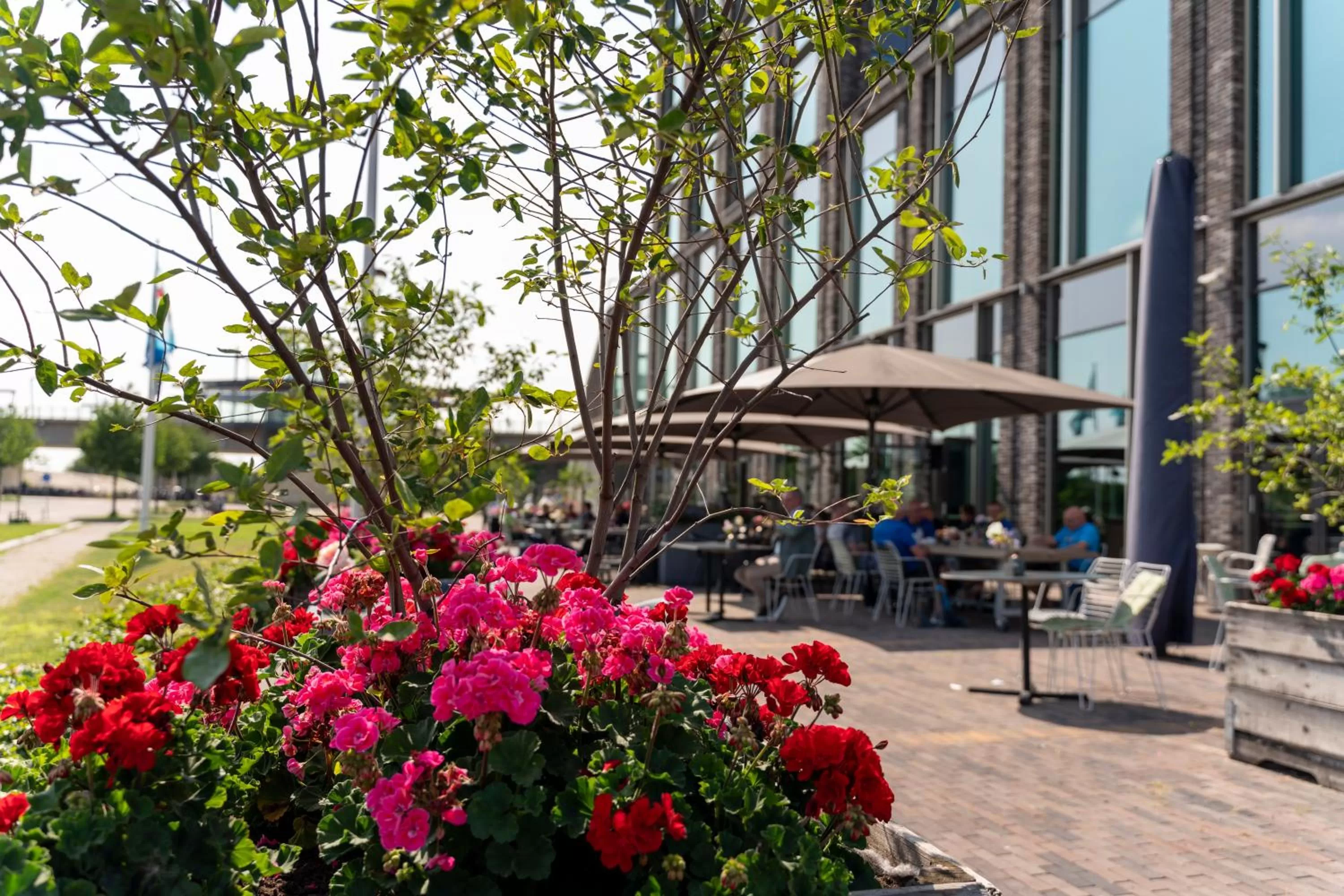 Spring in Van der Valk Hotel Nijmegen-Lent