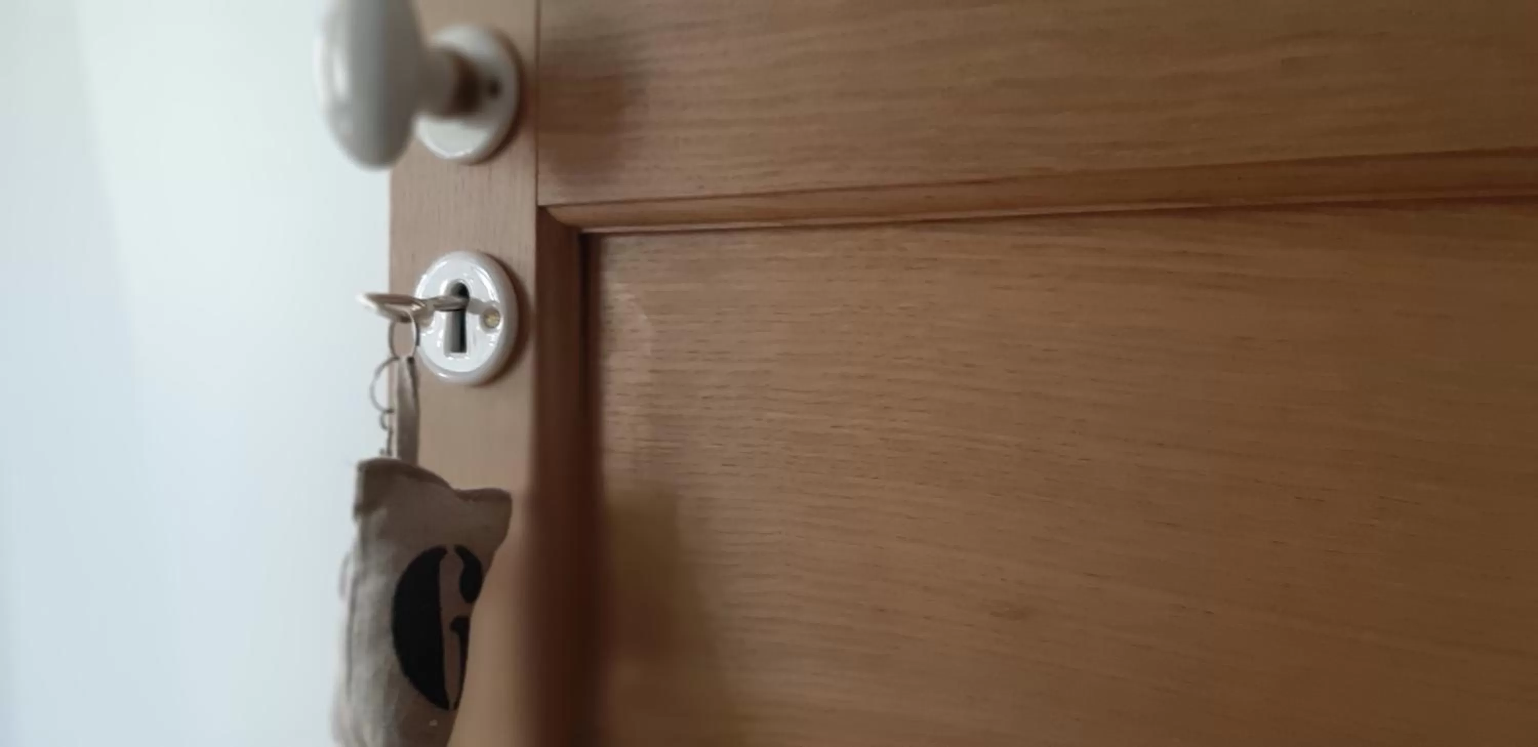 Decorative detail in A L'OMBRE DE LA TREILLE -Proche Saint-Emilion