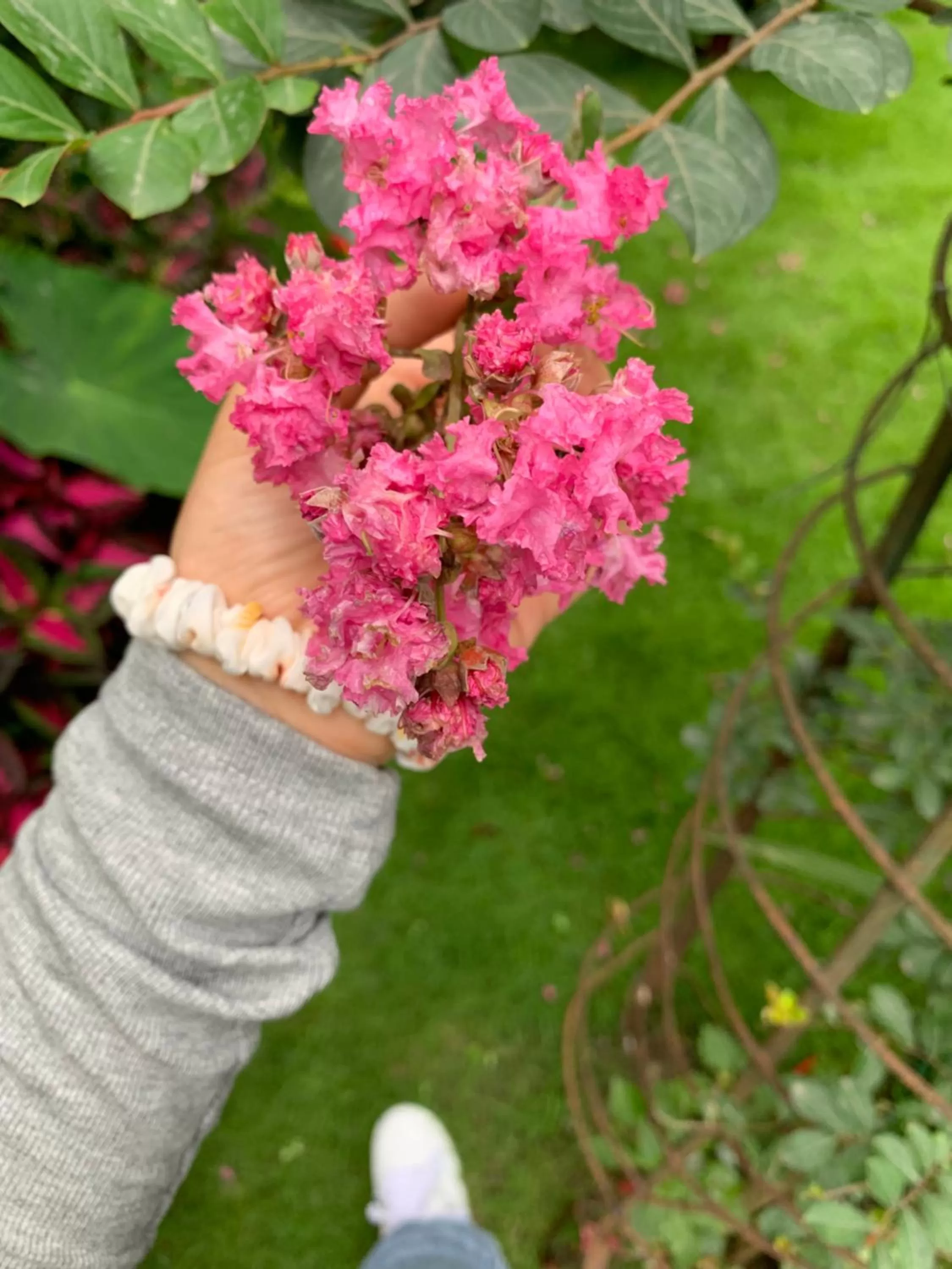 Garden in Hotel ABC, Boutique Hotel in Pokhara
