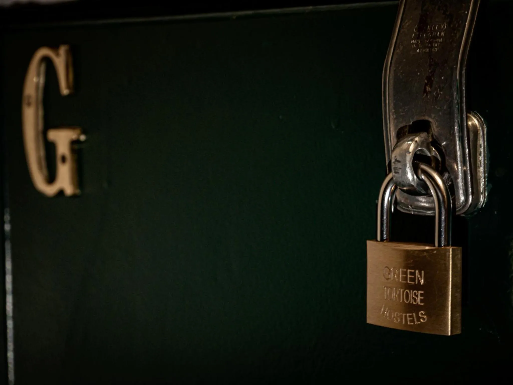 Green Tortoise Hostel Seattle