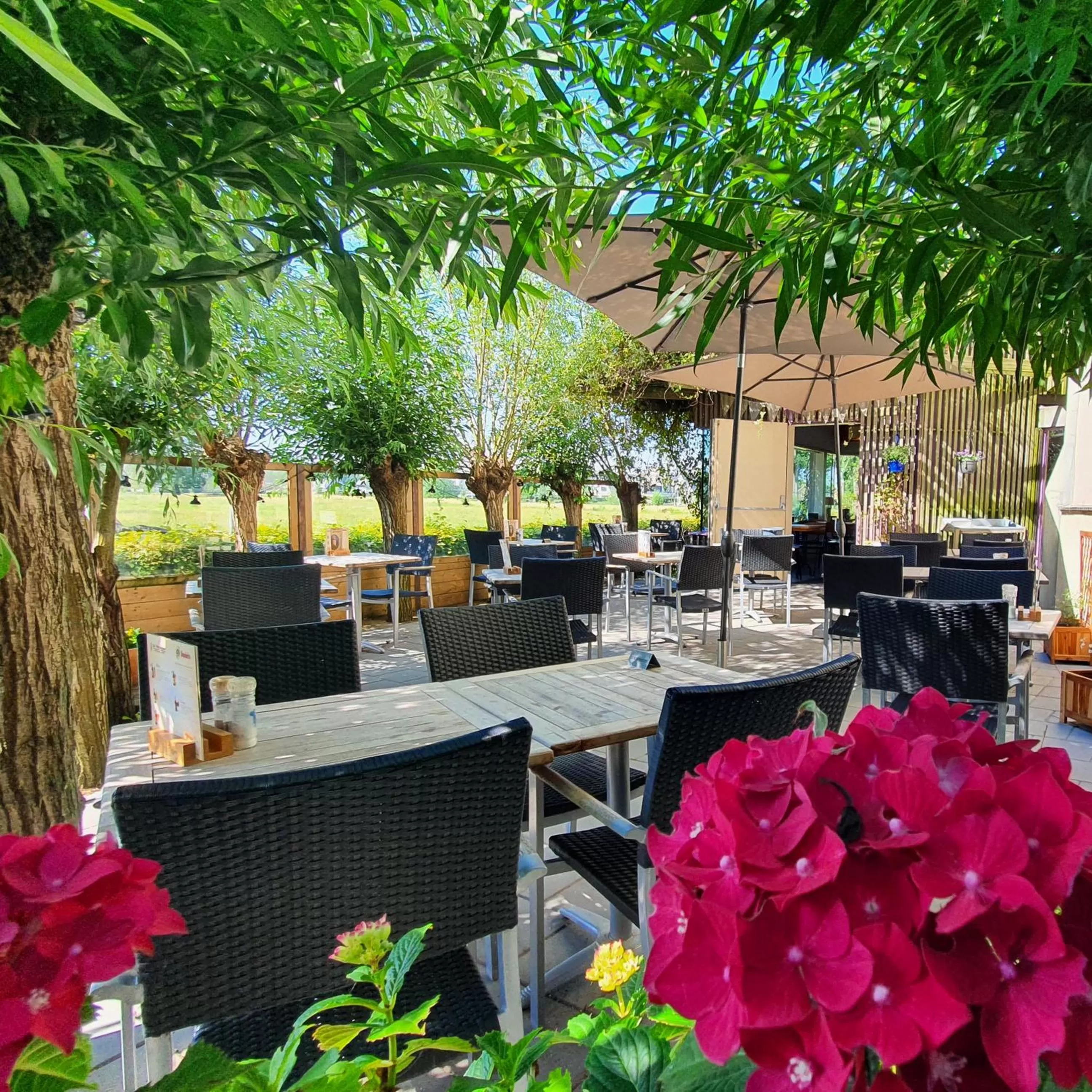 Restaurant/places to eat in Hotel de Watertoren