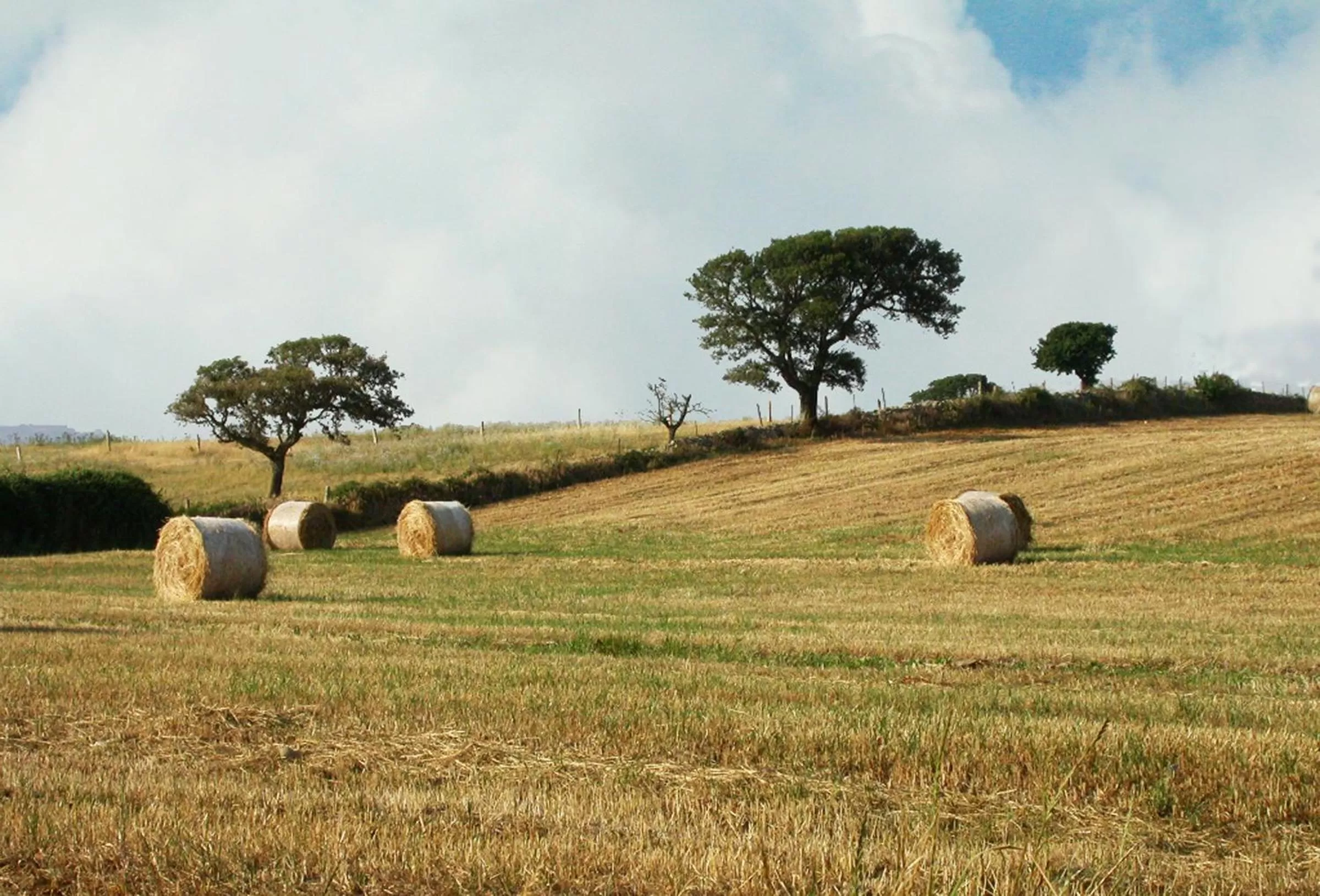 On site in Casa d' Artista B&B