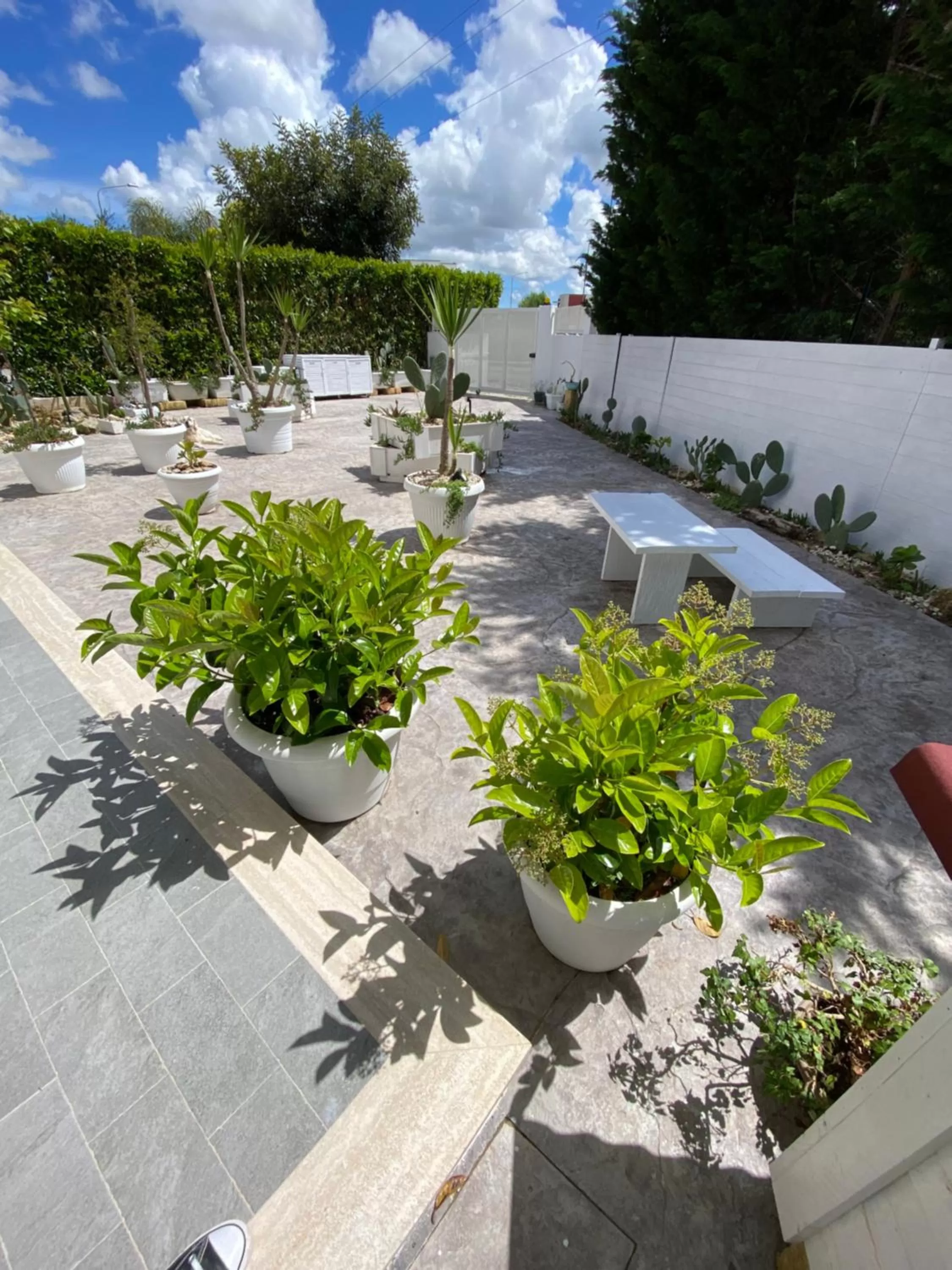 Garden in La casa di Nina