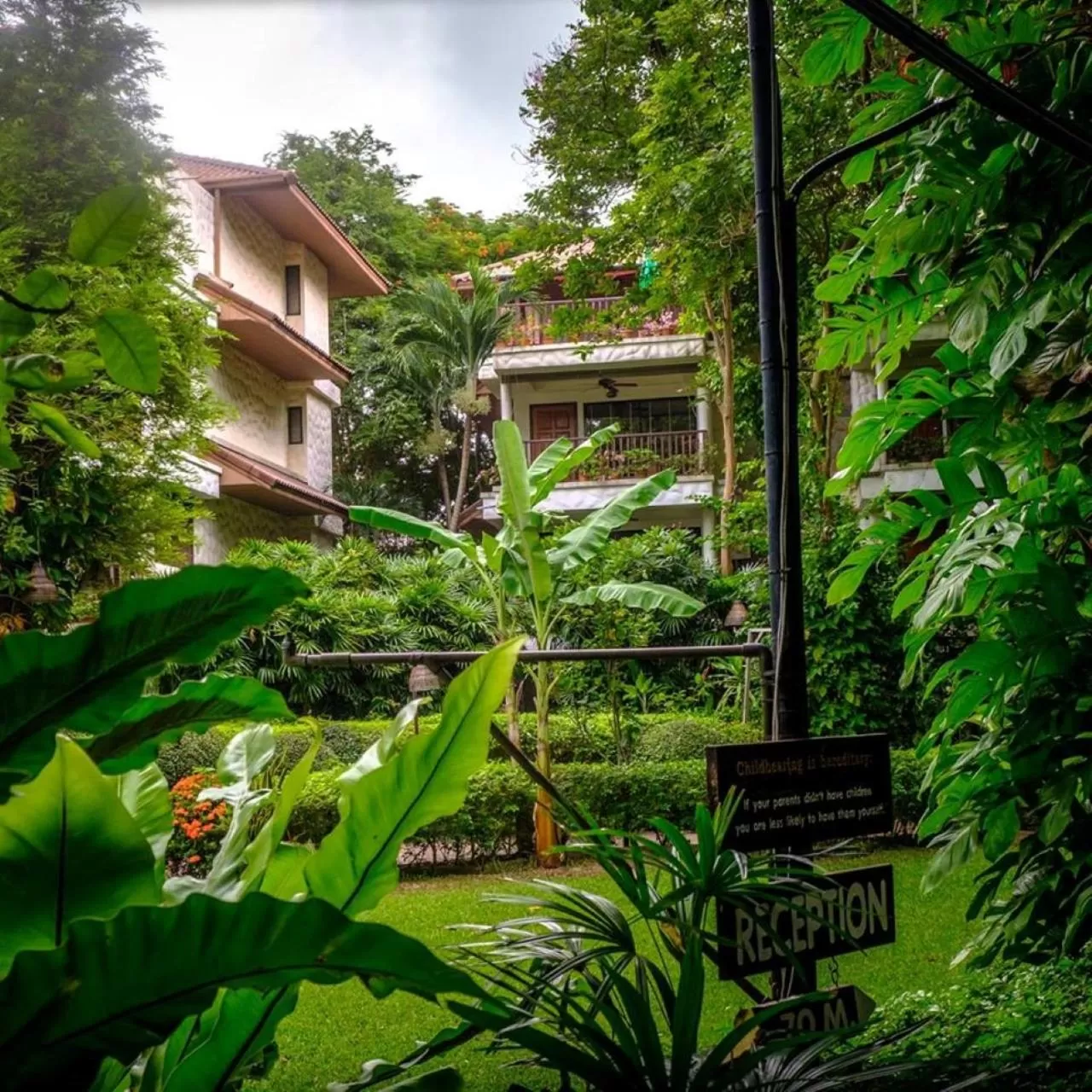 Property building in Birds and Bees Resort