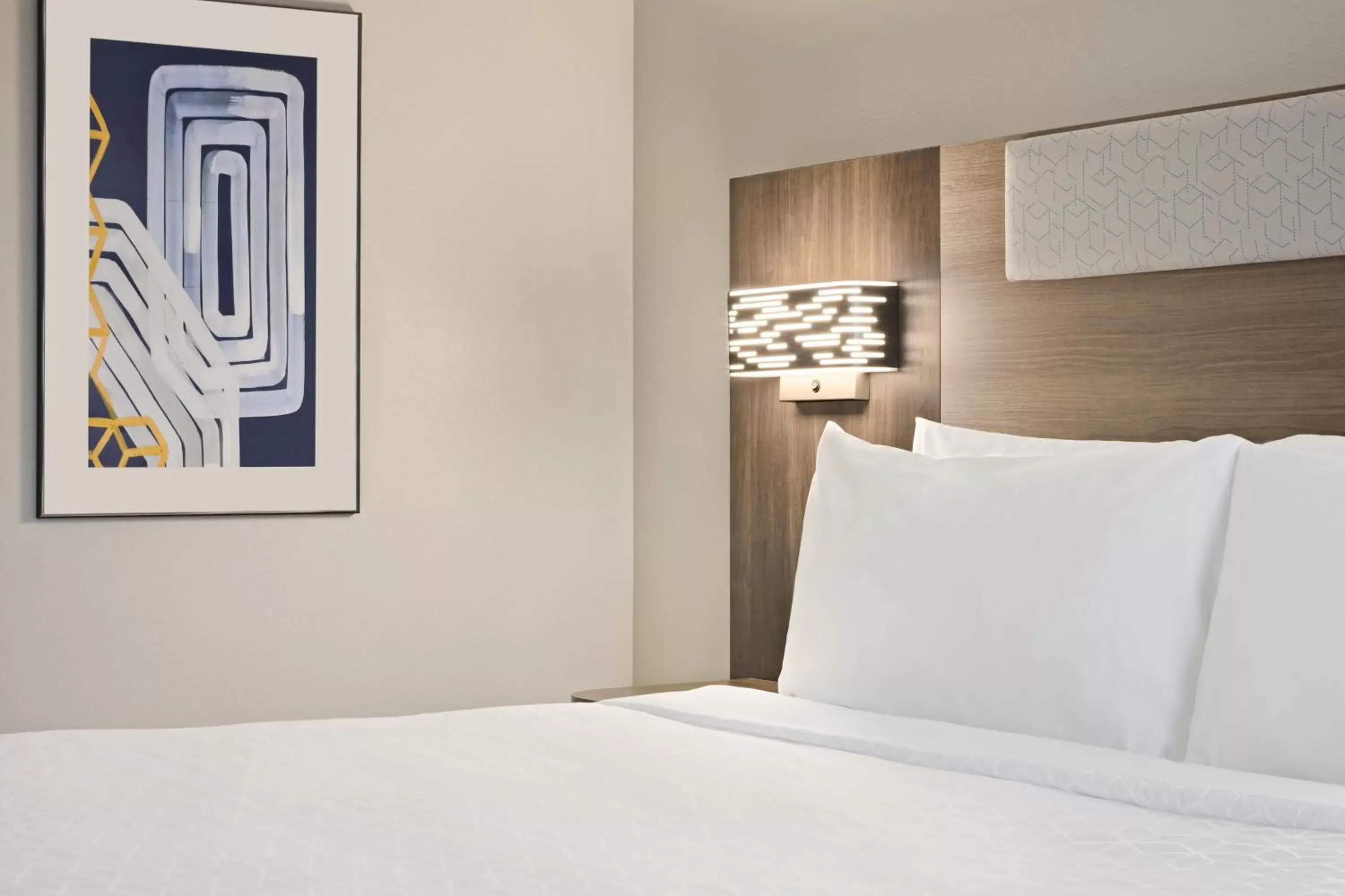 Queen Room - Disability Access in Holiday Inn Express Hotel & Suites Greenville-Downtown, an IHG Hotel Queen Room - Disability Access in Holiday Inn Express Hotel & Suites Greenville-Downtown, an IHG Hotel