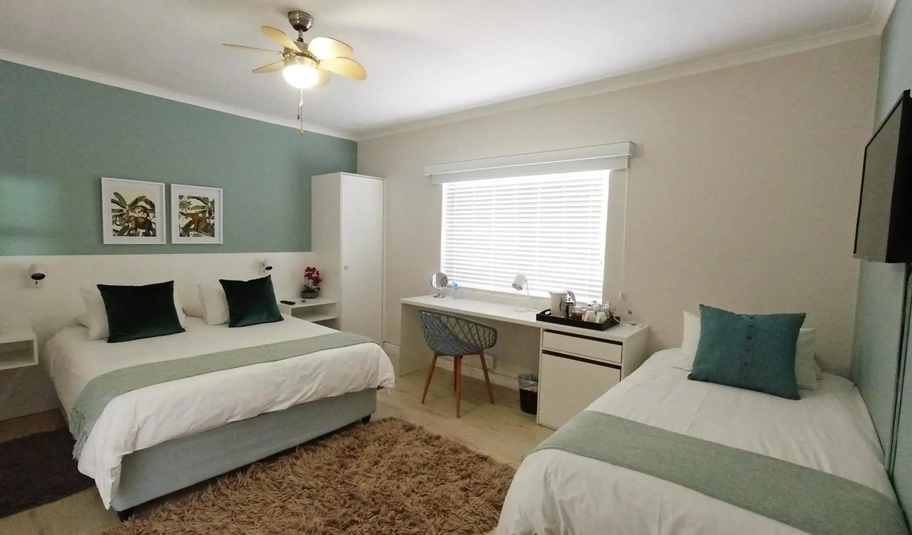 Classic Twin Room - single occupancy in Dolphin Inn Guesthouse Classic Twin Room - single occupancy in Dolphin Inn Guesthouse