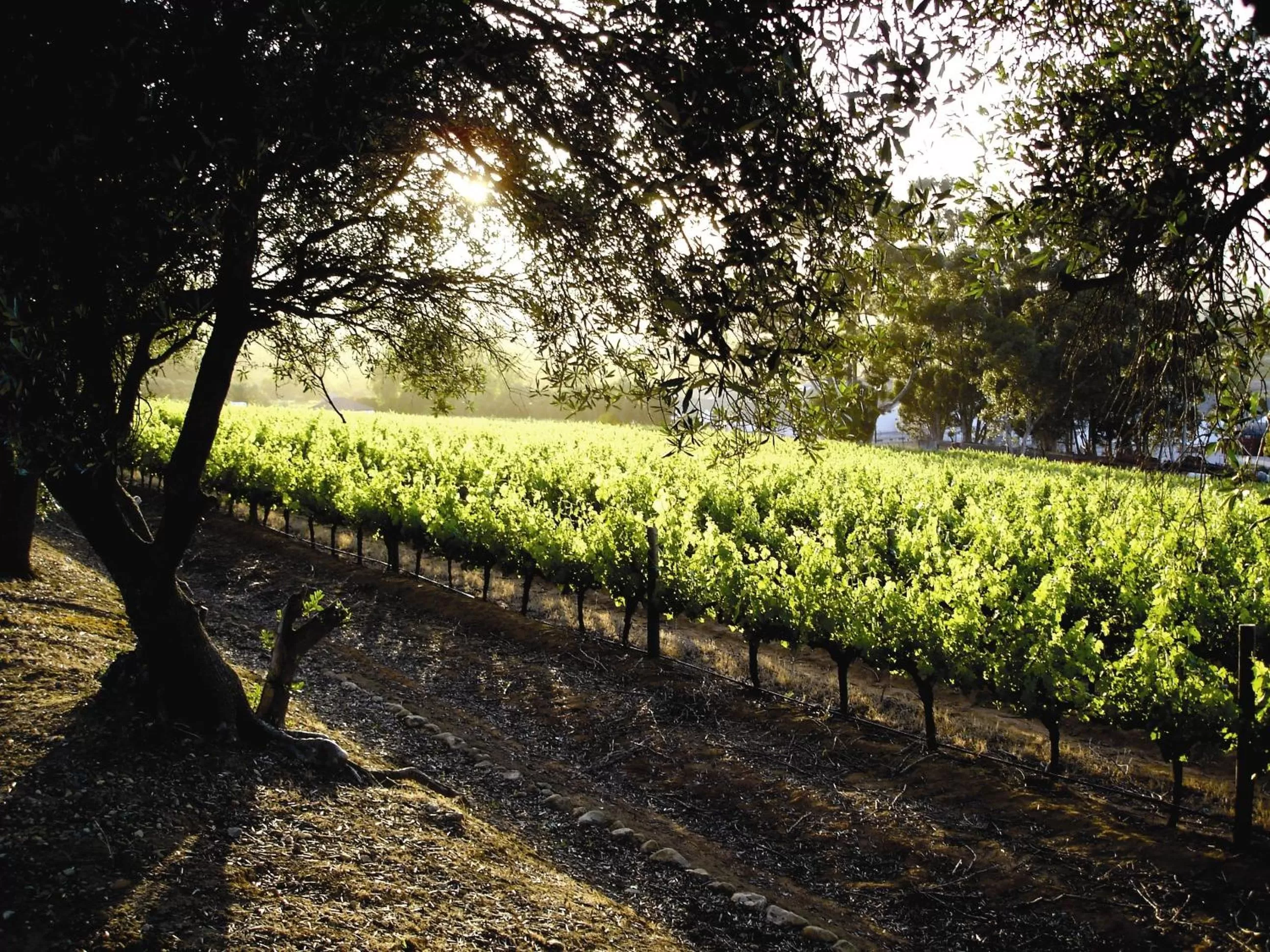 Decorative detail in The Devon Valley Hotel